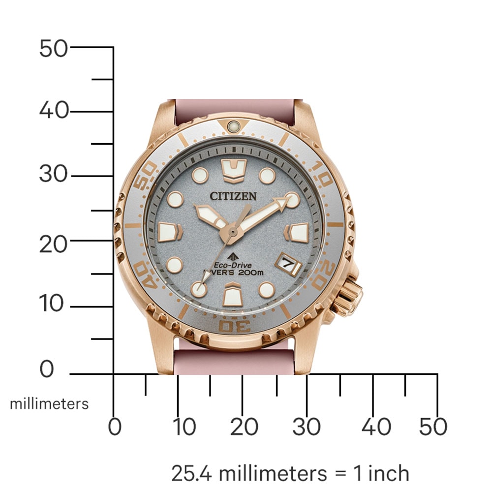 Citizen Taucheruhr »Promaster Eco-Drive Diver«, Armbanduhr, Solar, Damenuhr, analog, Tag, Batterie-Entladungsanzeige