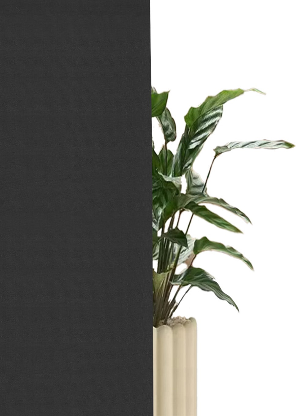 my home Seitenzugrollo »THEMSE«, abdunkelnd, energiesparend-Verdunkelung-Sichtschutz, ohne Bohren, freihängend, Klemmträger