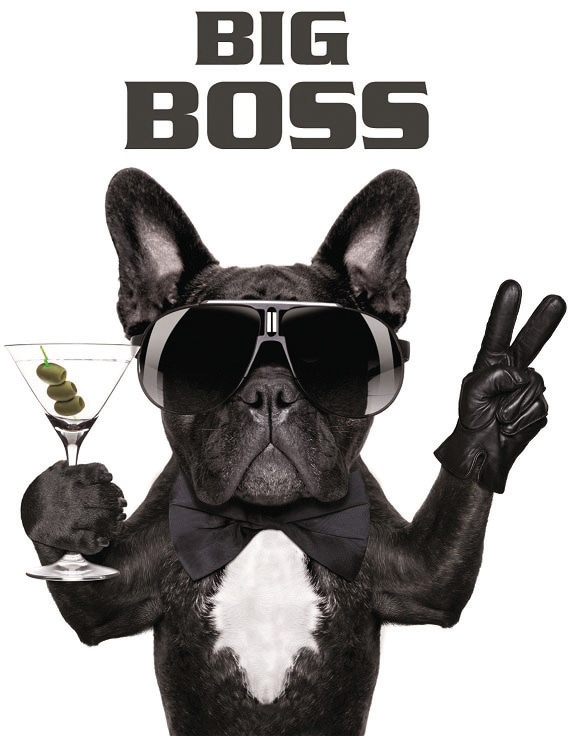 Bönninghoff Leinwandbild »Big Boss«, (1 St.)
