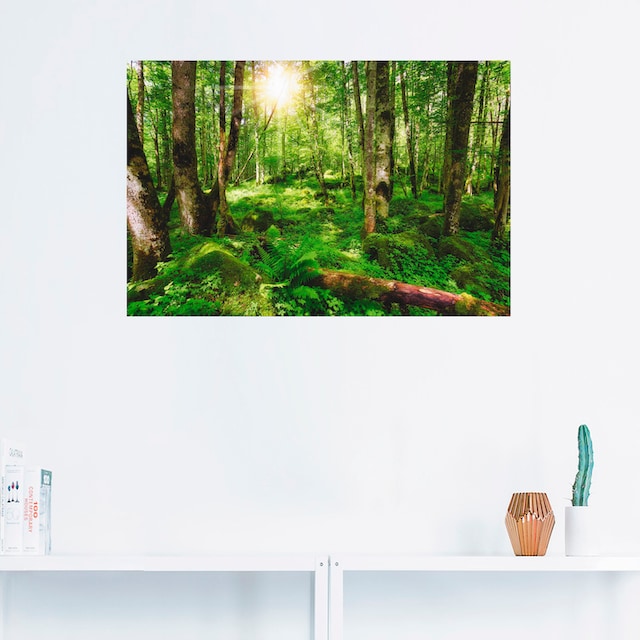 Artland Wandbild »Wald«, Wald, (1 St.), als Alubild, Leinwandbild,  Wandaufkleber oder Poster in versch. Größen auf Raten bestellen