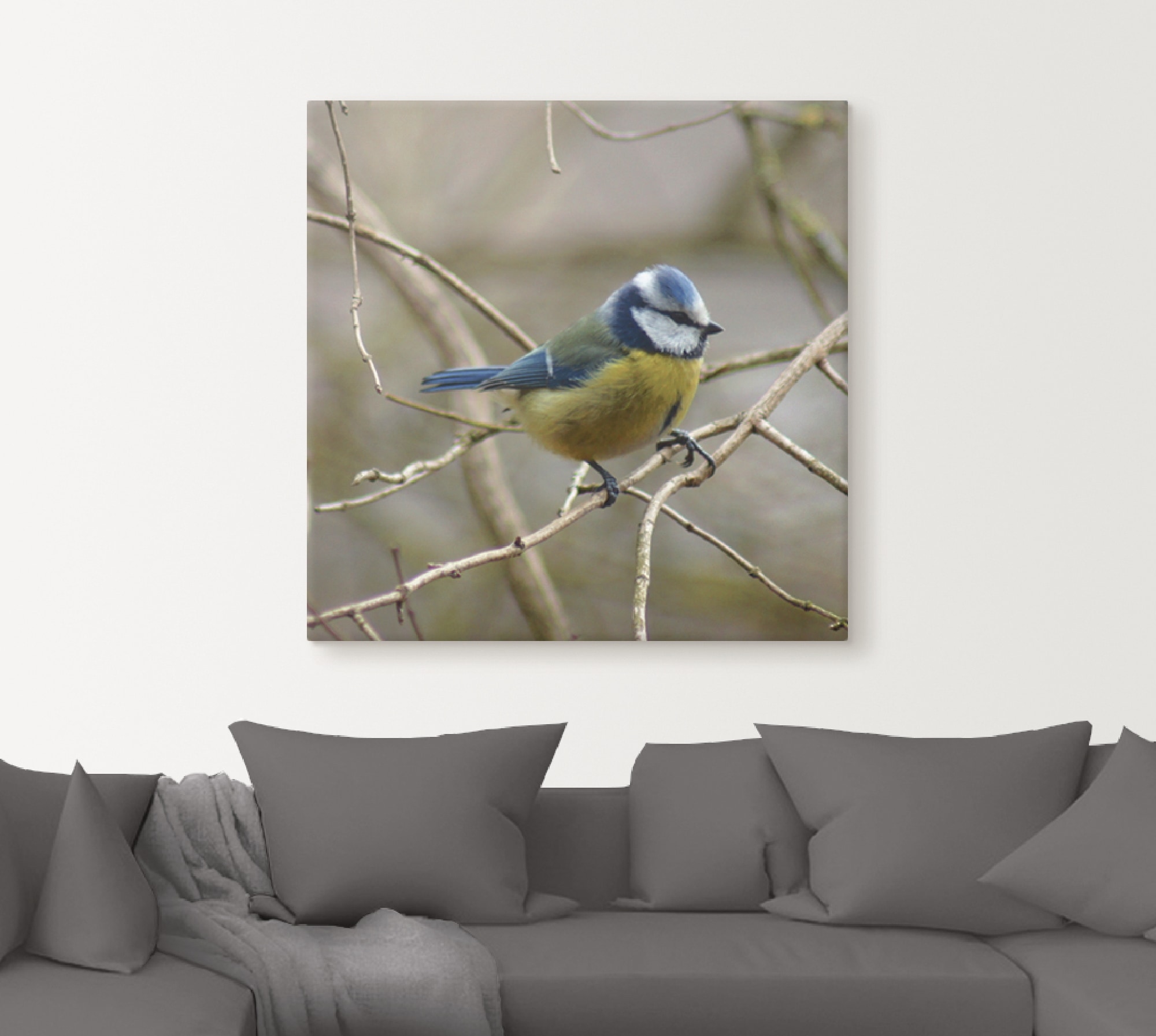 Artland Wandbild »Blaumeise« Vögel 1 Stk. tlg. auf Holzrahmen gespannt