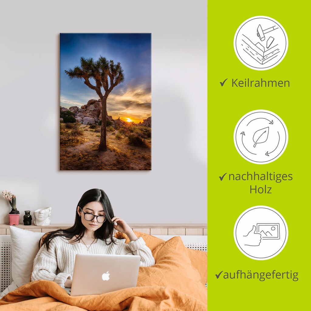 Artland Wandbild »Sonnenuntergang Joshua Tree NationalPark« (1 Stück), in vielen Größen & Produktarten - Alubild / Outdoorbild für den Außenbereich, Leinwandbild, Poster, Wandaufkleber / Wandtattoo auch für Badezimmer geeignet