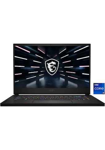 MSI Gaming-Notebook »Stealth GS66 12UHS-091«, (39,6 cm/15,6 Zoll), Intel, Core i9,... kaufen