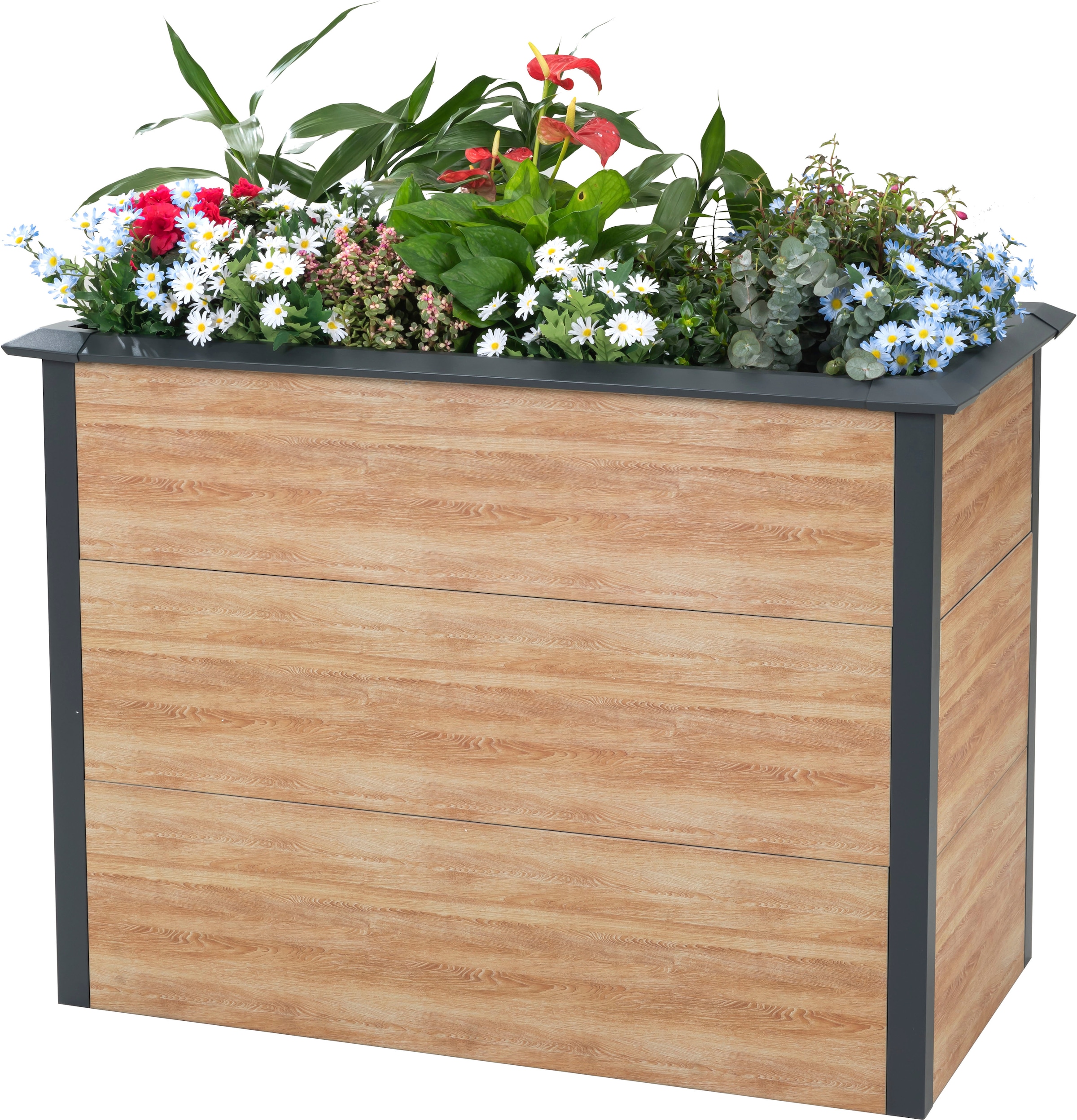 50NRTH Hochbeet »Metall Hochbeet »Primus-Multi M««, Inkl. Schneckenschutz, BxTxH: 100x50x77 cm