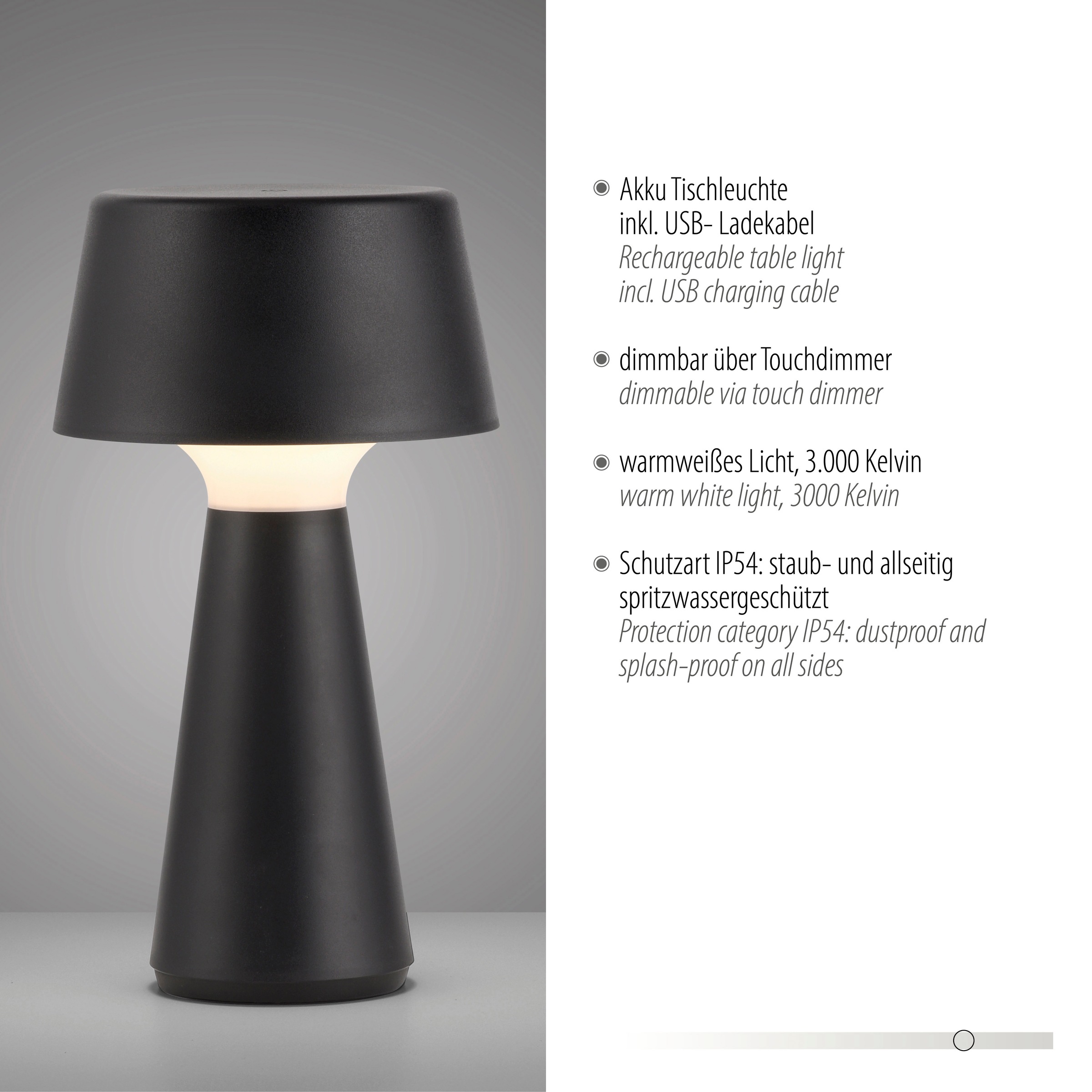 JUST LIGHT Tischleuchte »ABERA«, 1 flammig, Leuchtmittel LED-Modul | LED fest integriert, Akkuleuchte