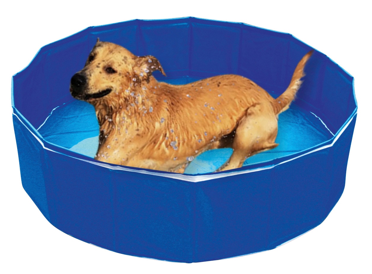 Hundepool "Outdoor-Dog" blau H: 30 cm