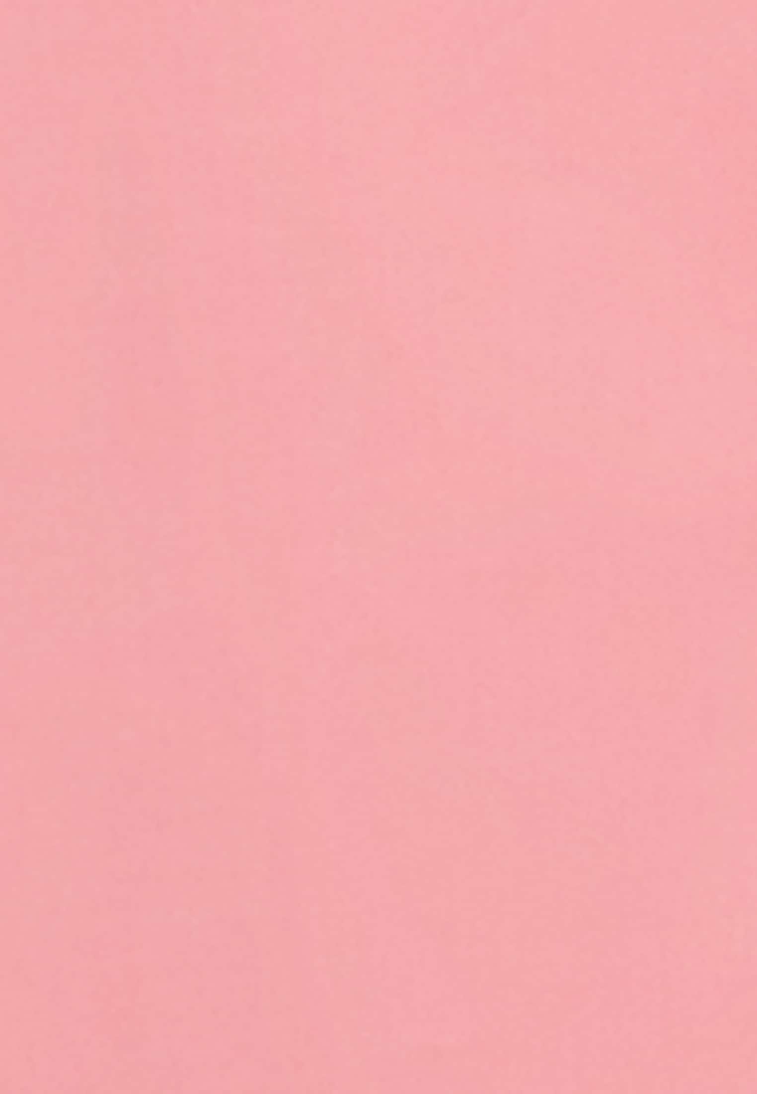 seidensticker Sommerkleid Rose«, Uni Kragen online »Schwarze bestellen 3/4-Arm