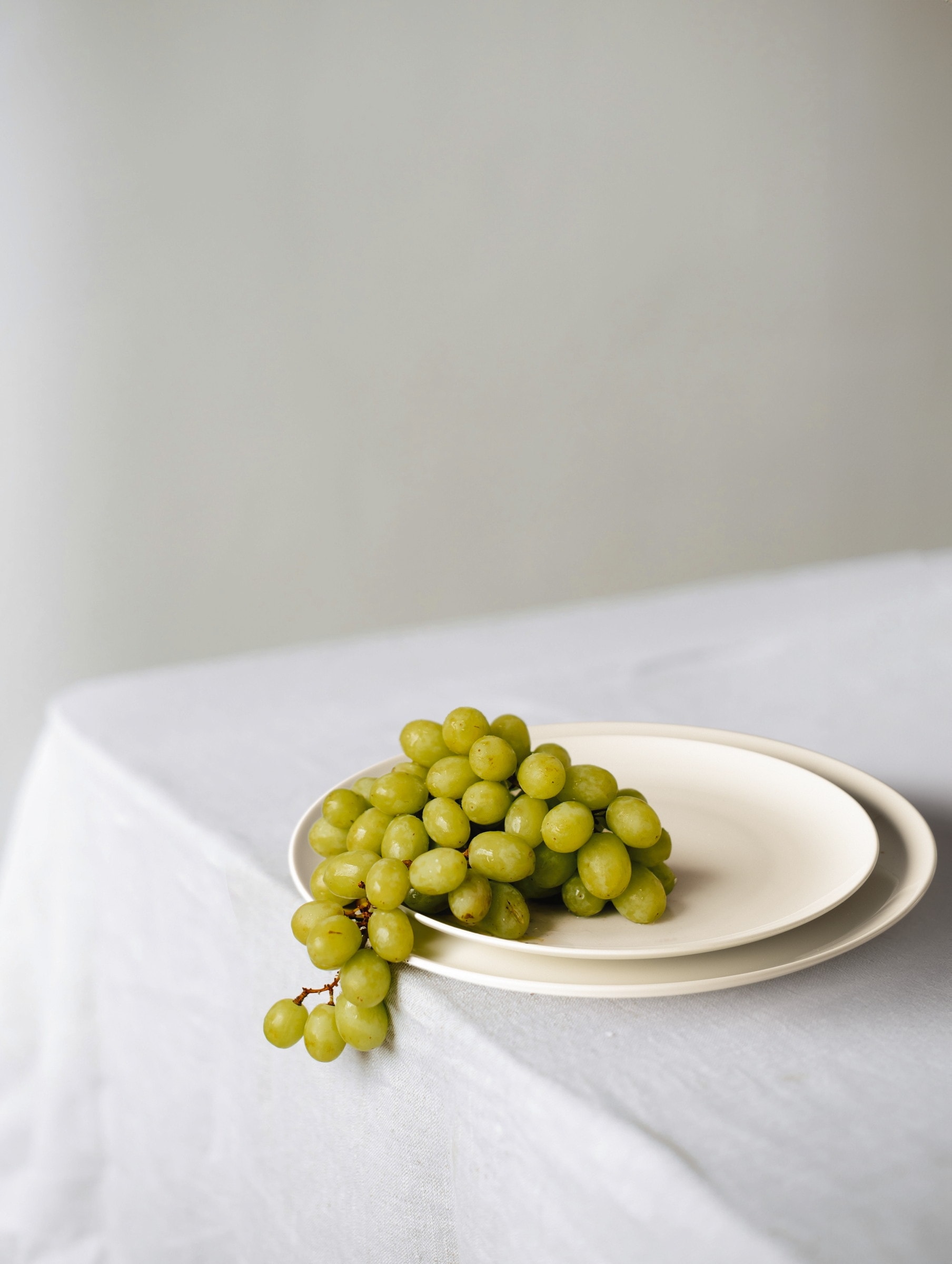 Seltmann Weiden Frühstücksteller »Savona« Dessertteller, Kuchenteller