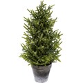 Schneider Künstlicher Weihnachtsbaum »Weihnachtsdeko, künstlicher Christbaum, Tannenbaum«, mit Glitter, Höhe 50 cm