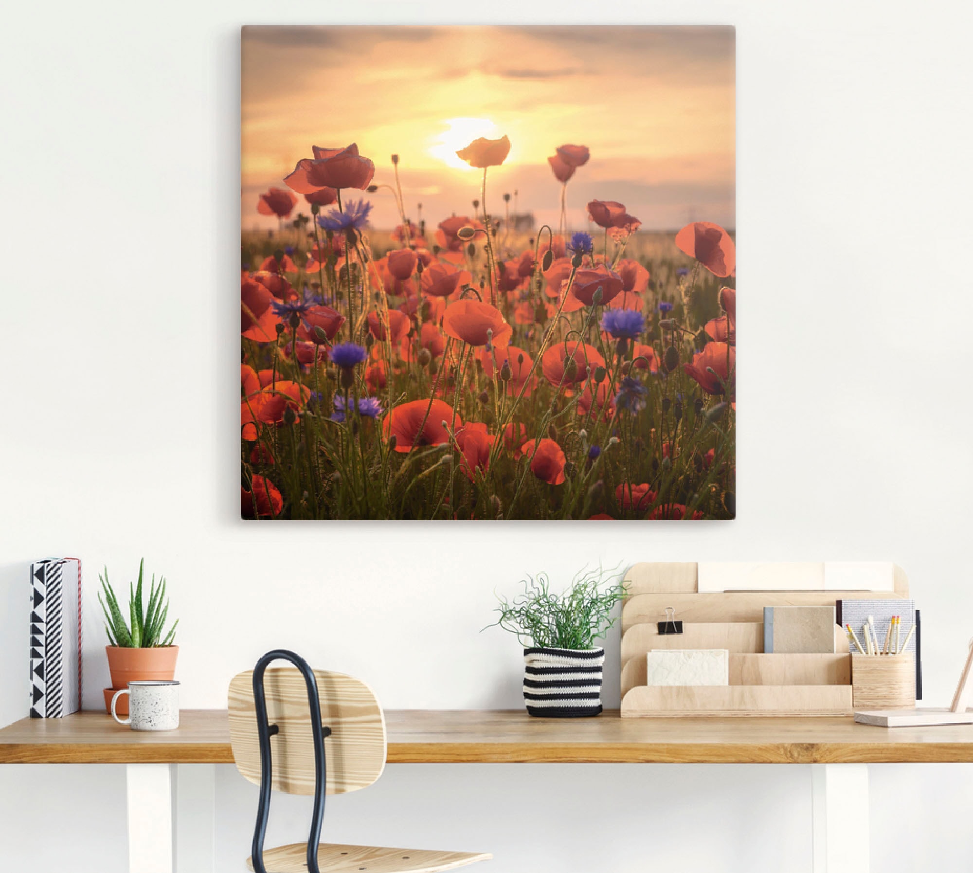 Artland Wandbild »Mohnblumen im Abendlicht«, Blumen, (1 St.), als Alubild, günstig online kaufen