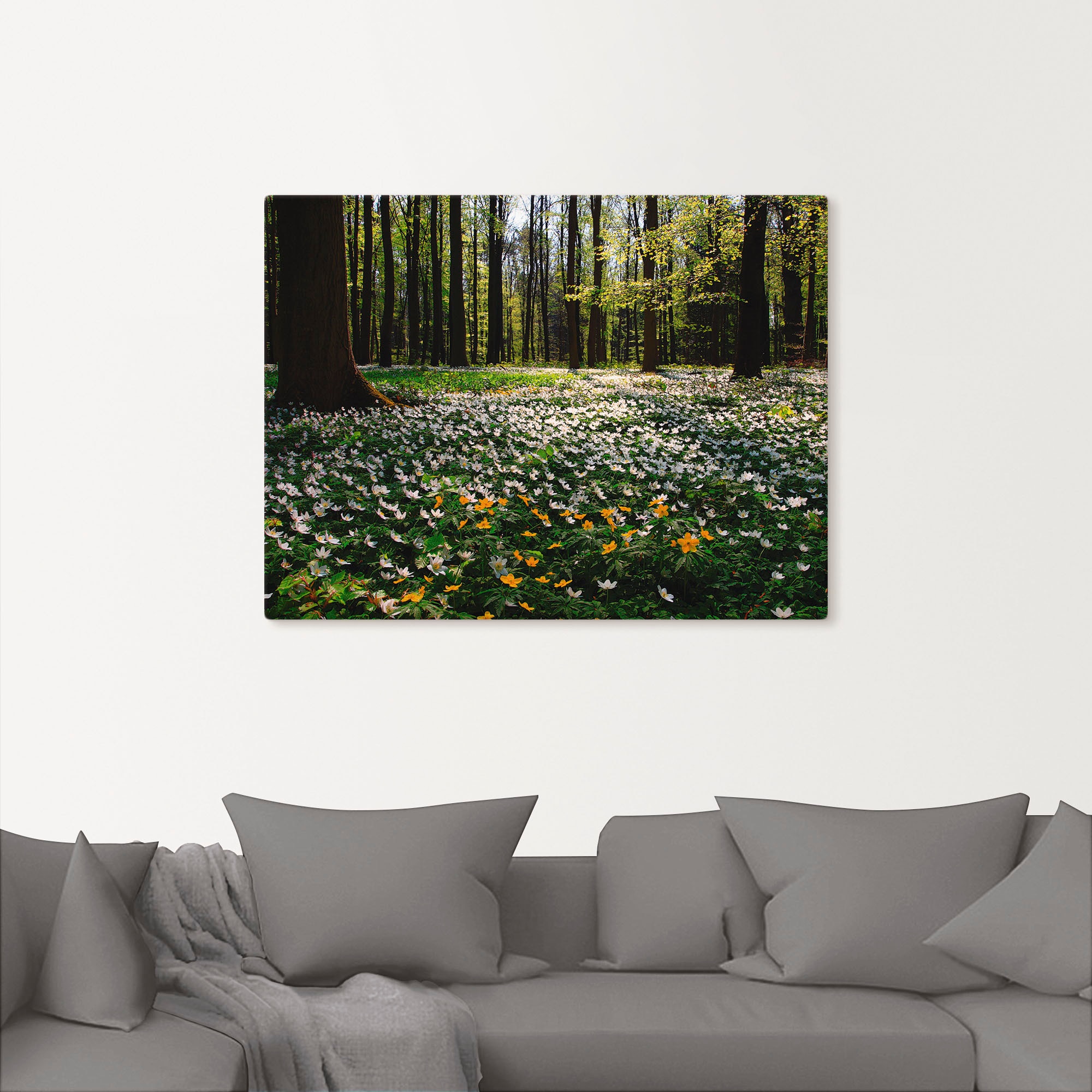Artland Wandbild »Frühlingswald bedeckt mit Windröschen«, Wald, (1 St.), al günstig online kaufen