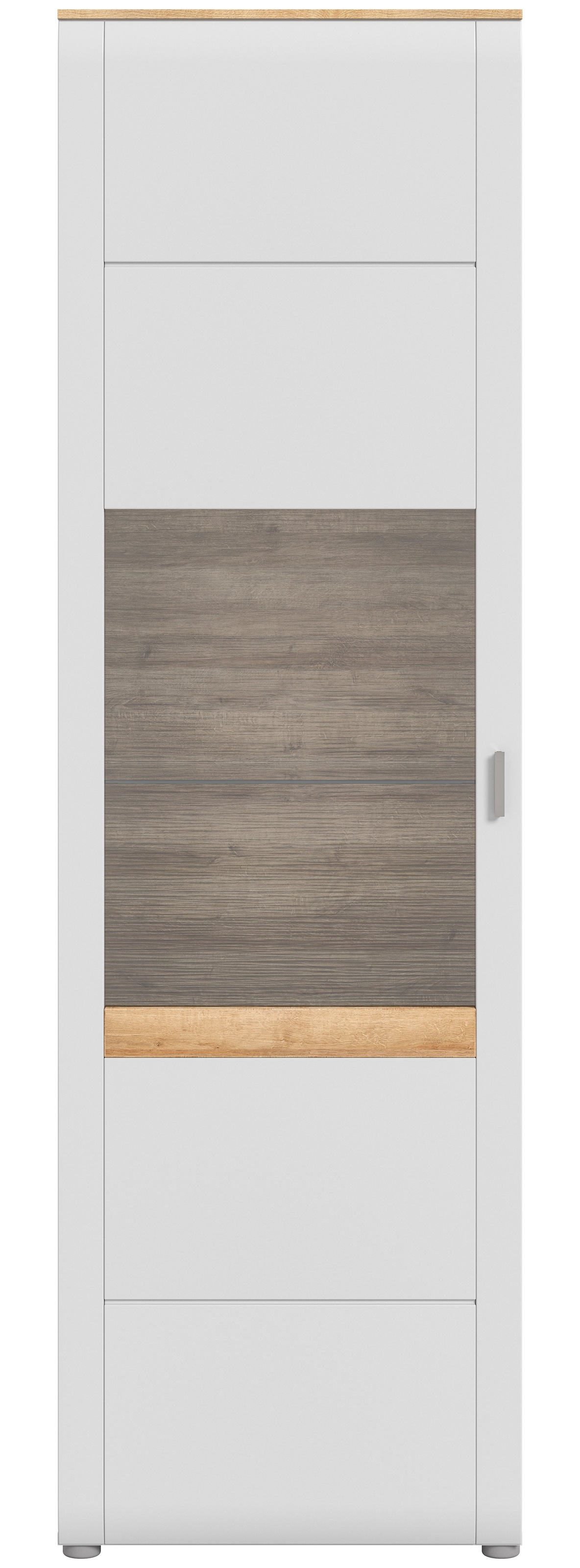 INOSIGN Standvitrine »Aska, Höhe 202cm, Metallgriff, 1 Glastür, 1 Glaseinle günstig online kaufen