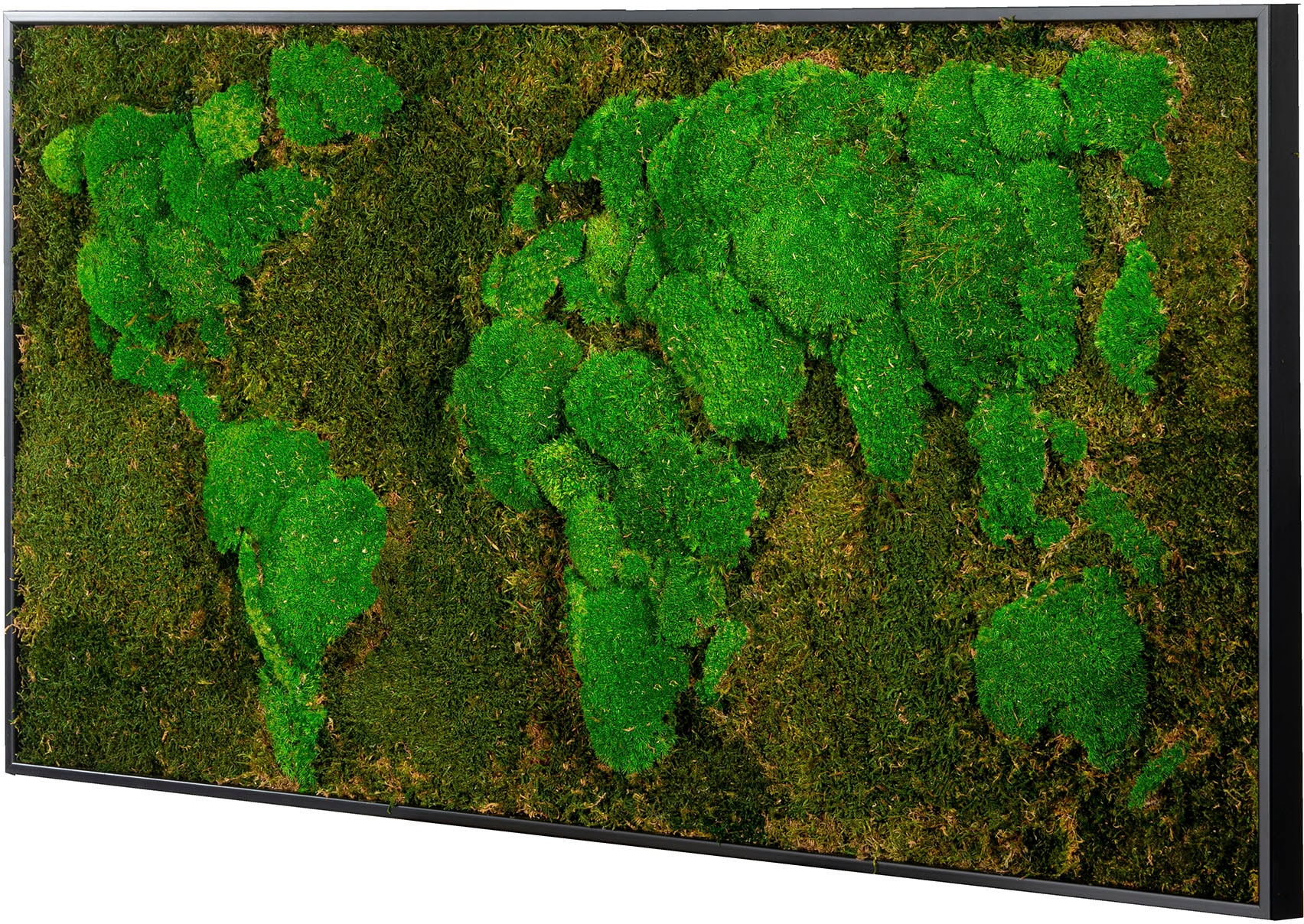 Unikat, Bild auf (1 ein Rechnung St.), 120x60 cm BxH: mit Rahmen Bönninghoff jedes Bild bestellen Weltkarte, »Moos«,