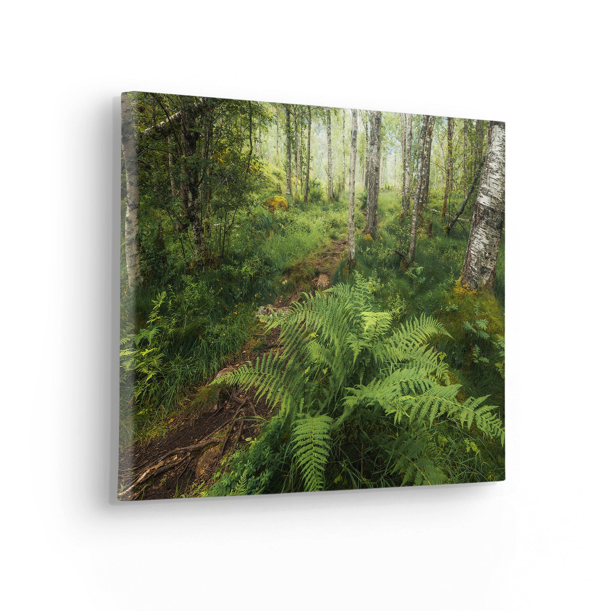 Komar Leinwandbild »Mystic Birch Grove - Größe 40 x 30 cm«, Baum-Blätter-Natur-Berge-Blumen-Foto-Jahreszeiten-Landschaft-Meer-Strand-Palmen, (Packung, 1 St.), Keilrahmenbild mi Echtholzrahmen
