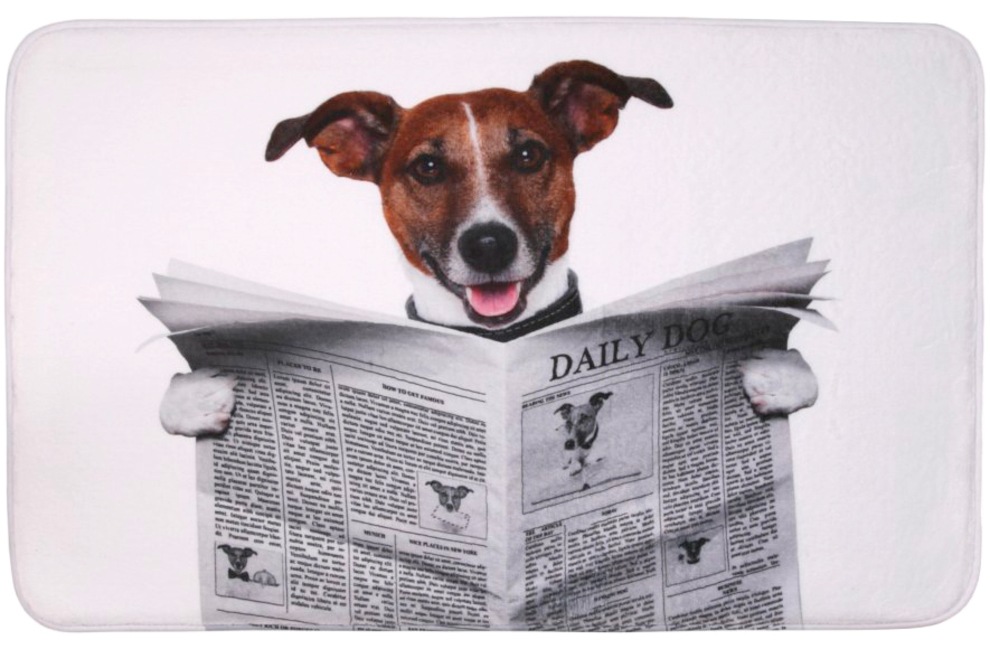 Sanilo Badaccessoire-Set »Newspaper«, (Komplett-Set, 3 tlg.), bestehend aus WC-Sitz, Badteppich und Waschbeckenstöpsel