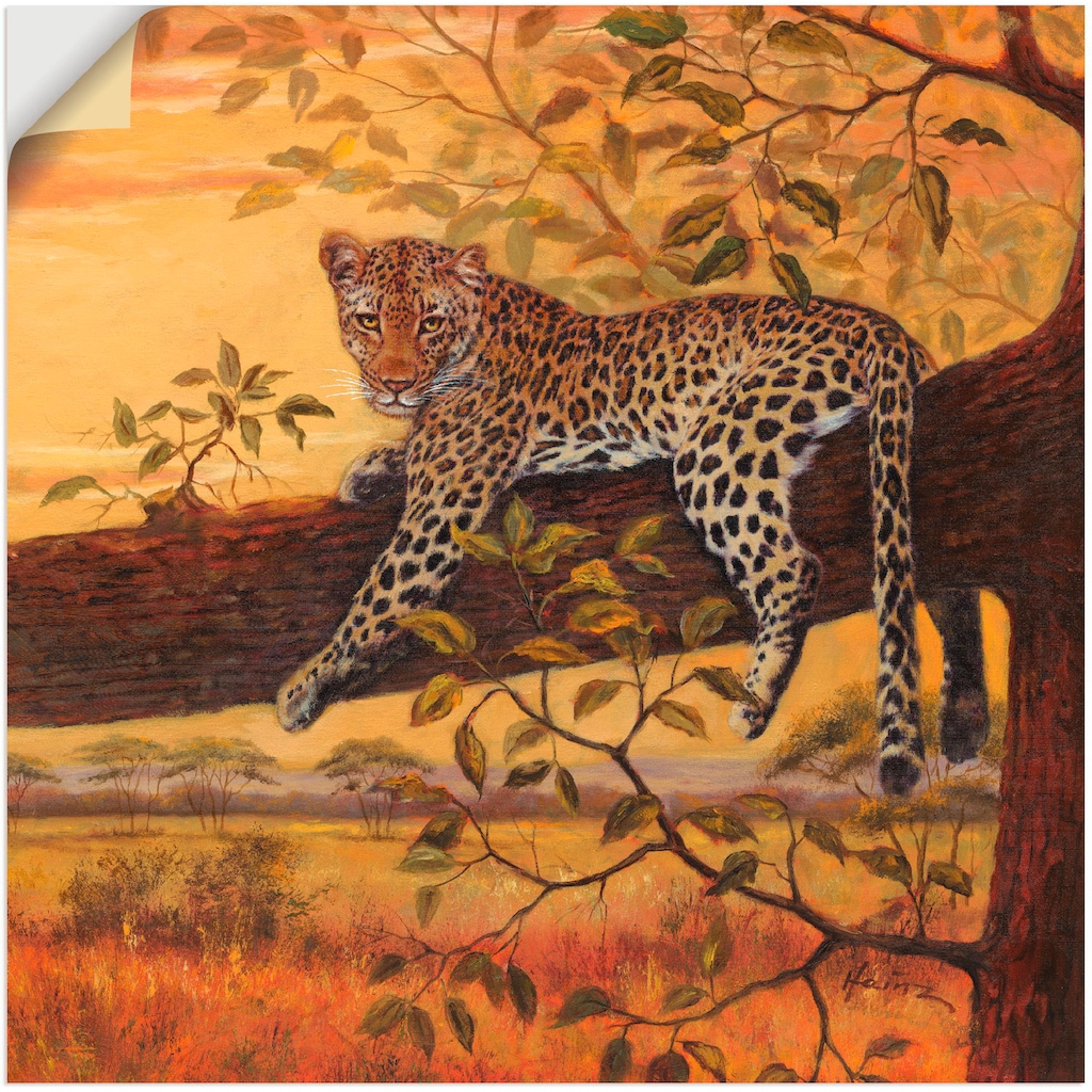 Artland Wandbild »Ruhender Leopard«, Wildtiere, (1 St.)