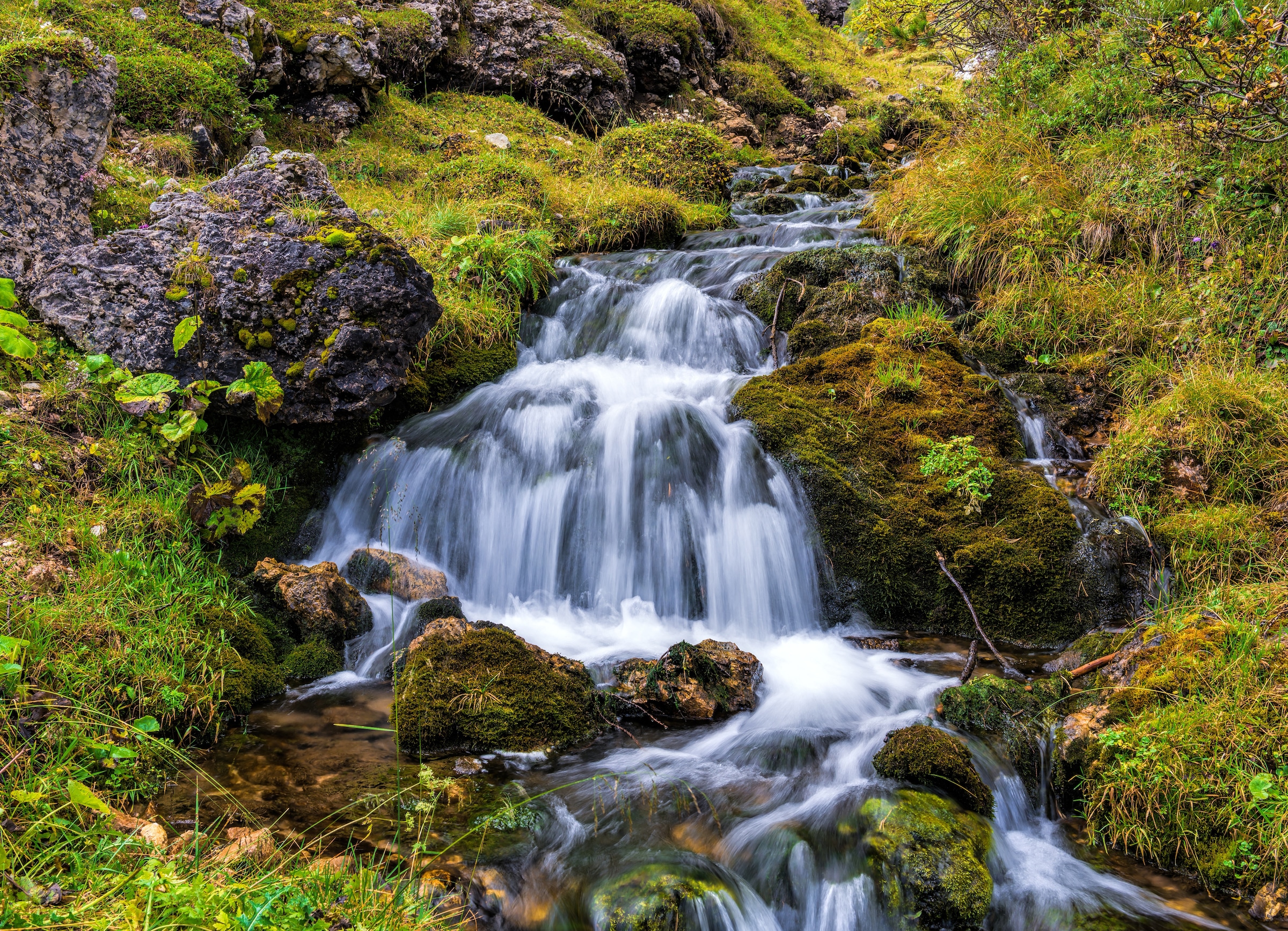 Papermoon Fototapete »Mountain Stream in Dolomites« glatt günstig online kaufen