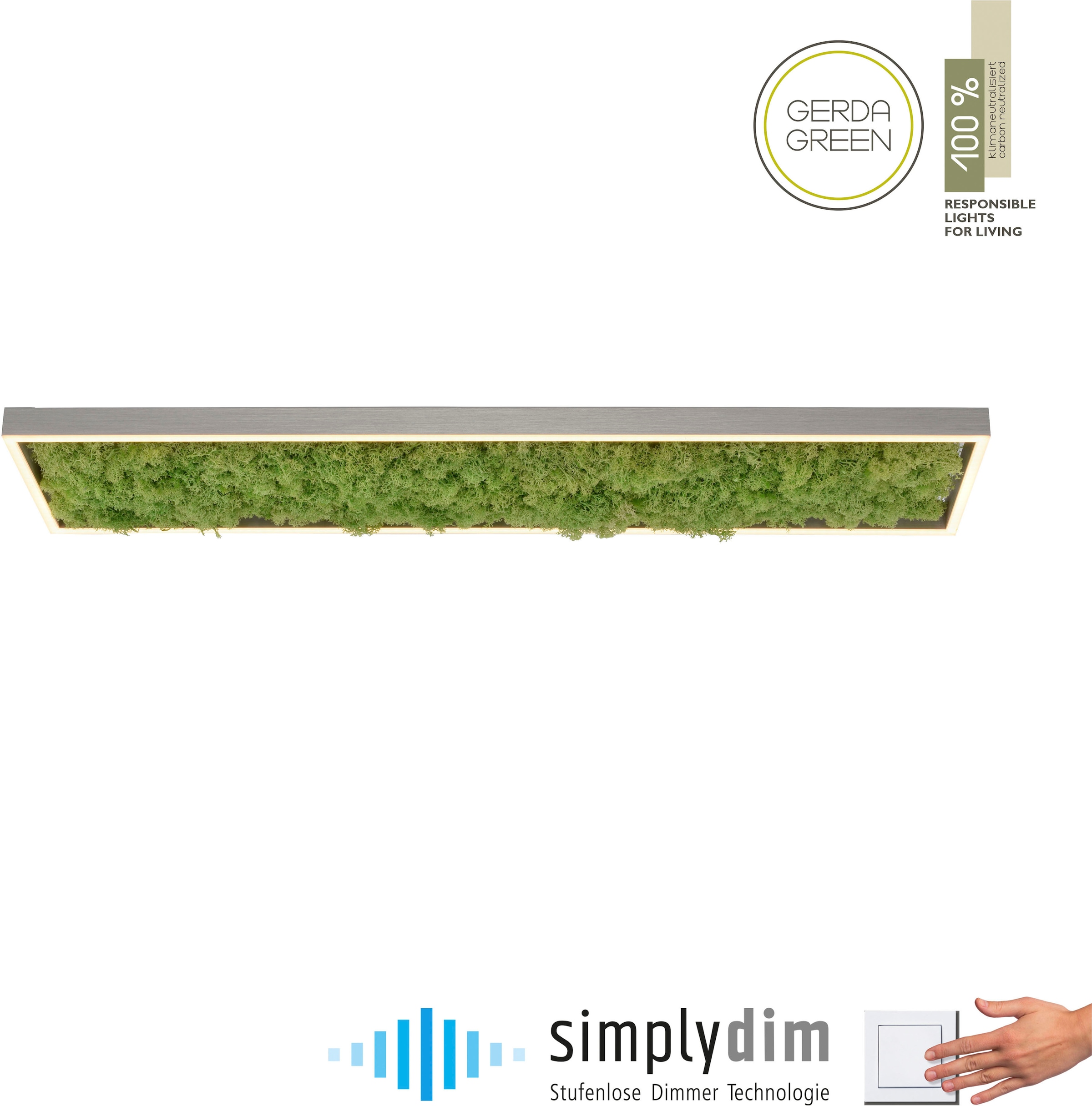 JUST LIGHT Deckenleuchte »GREEN KNUT« LED-Board 1 Stk. Warmweiß günstig online kaufen