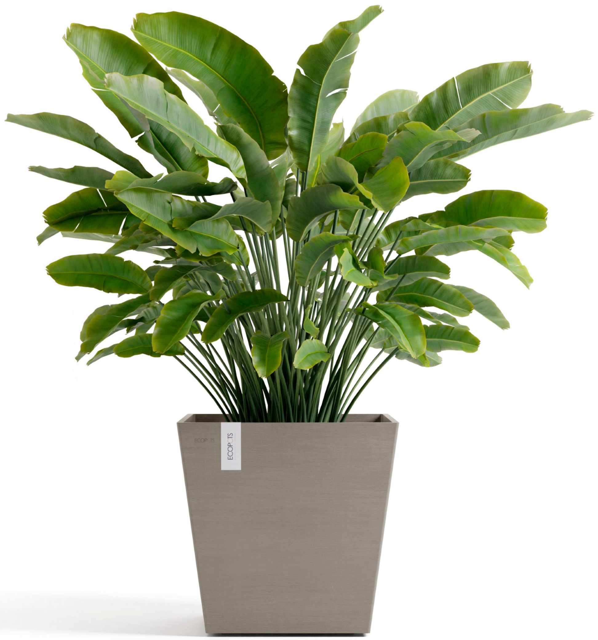 ECOPOTS Blumentopf »Rotterdam 45 + Wassersystem Taupe« für innen und außen: frostsicher, bruchsicher und lichtbeständig