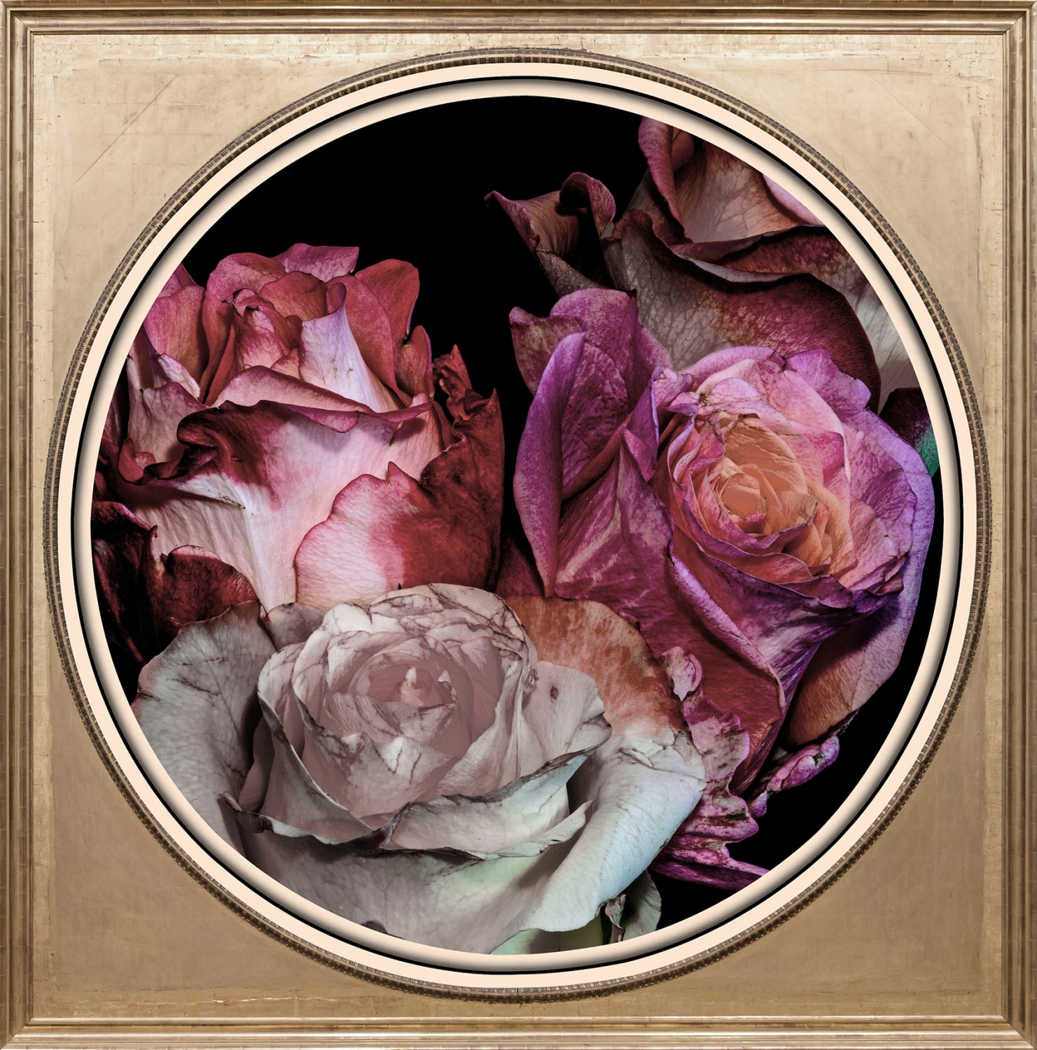 queence Acrylglasbild »Blumen«, Blumen-Blumenbilder-Kunst-Pflanzen-Pflanzen günstig online kaufen