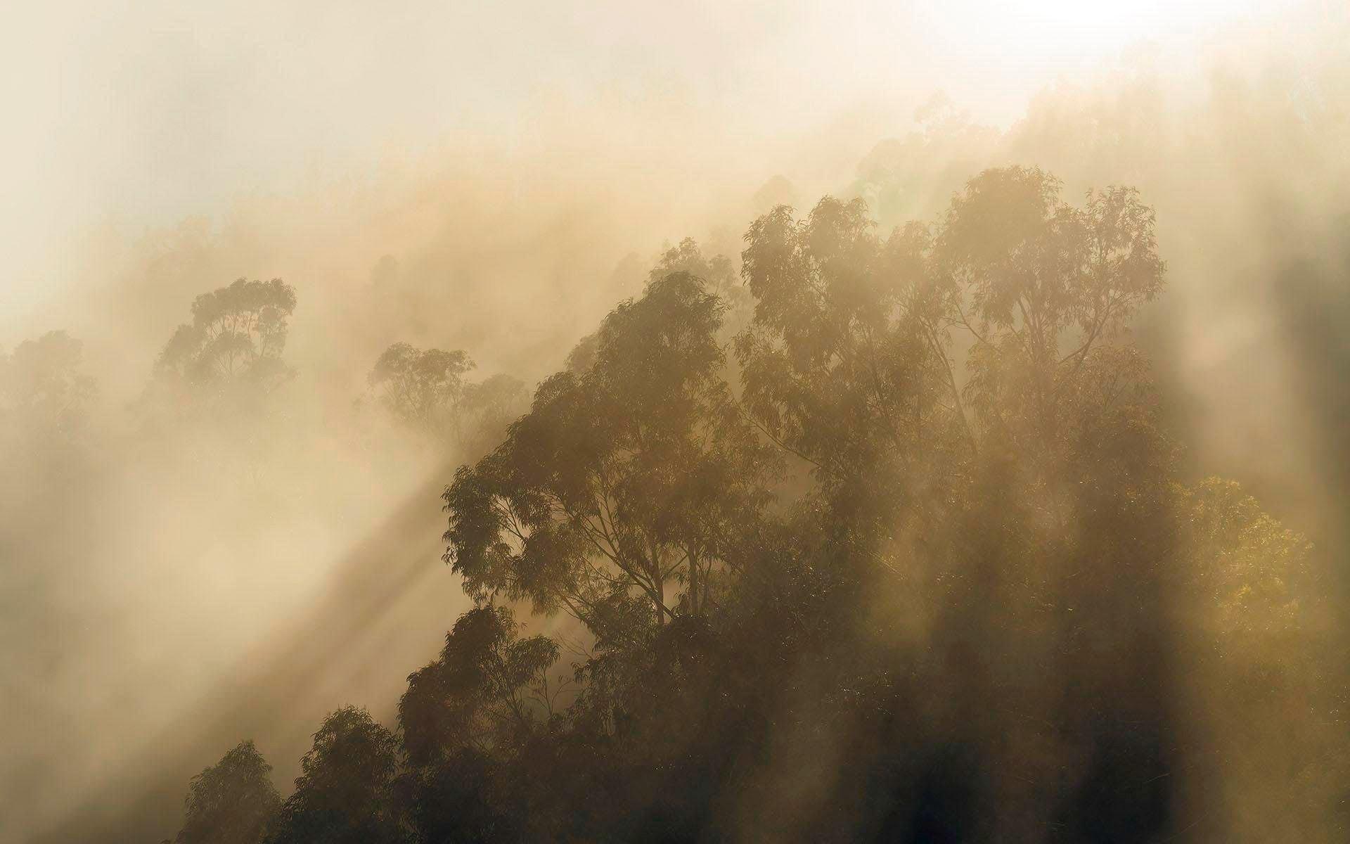 Komar Vliestapete »Misty Mountain«, 400x250 cm (Breite x Höhe), Vliestapete günstig online kaufen