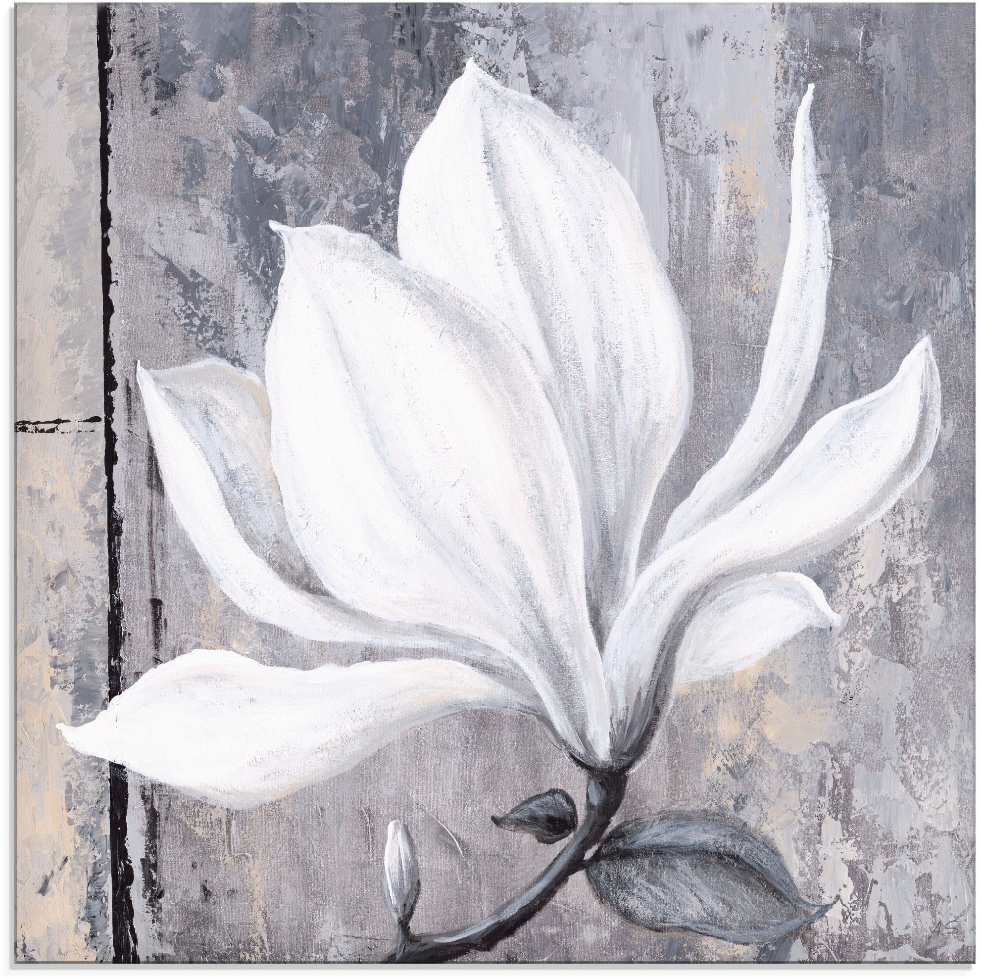 Artland Glasbild »Klassische Magnolie«, bestellen Größen auf verschiedenen St.), in Raten (1 Blumen