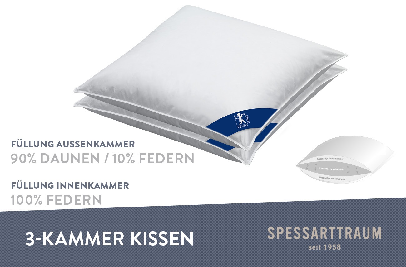 SPESSARTTRAUM 3-Kammer-Kopfkissen »Arosa Sparset«, (1 St.), Kissen 40x80, 8 günstig online kaufen