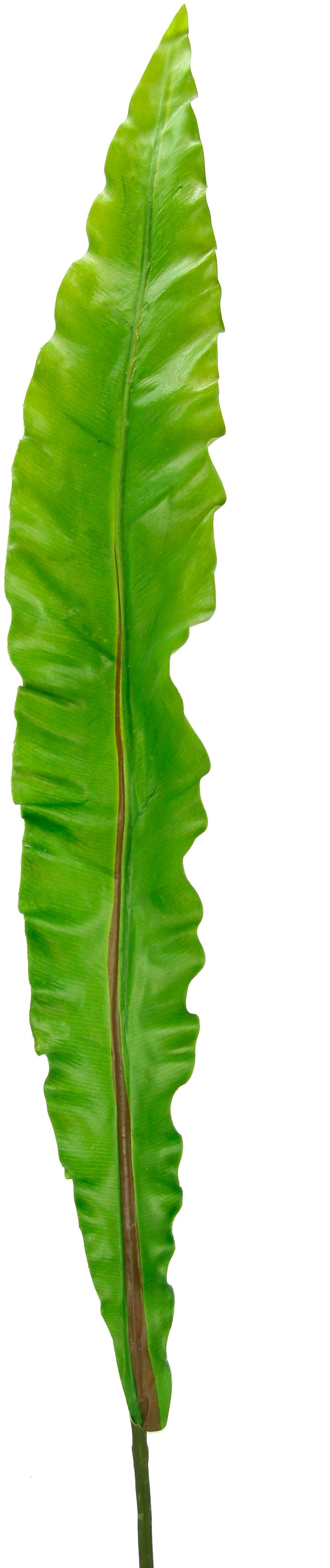 I.GE.A. Kunstpflanze »Nestfarnblatt«, Monstera, Kunstzweig, 3er Set