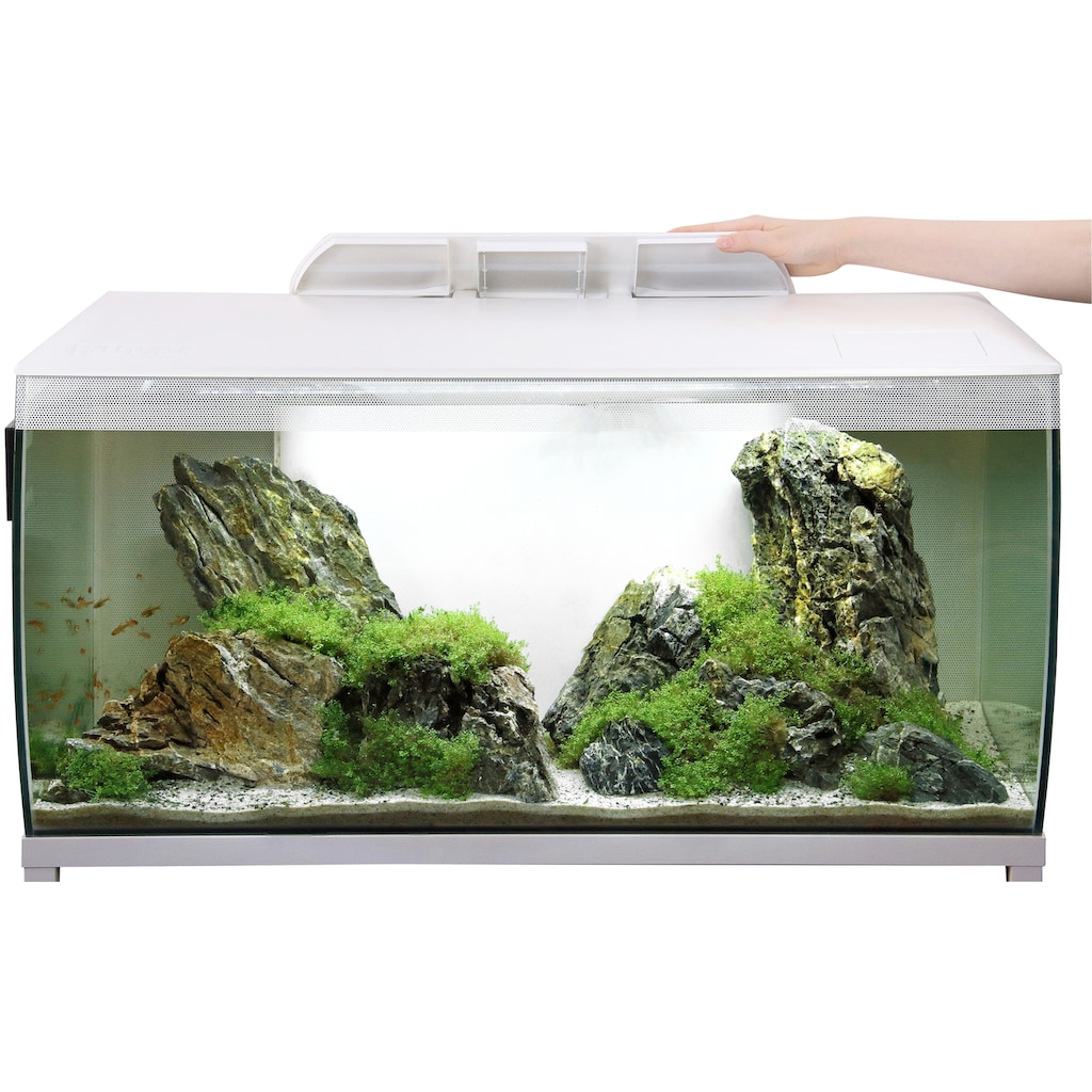 FLUVAL Aquarium »FLEX 123«