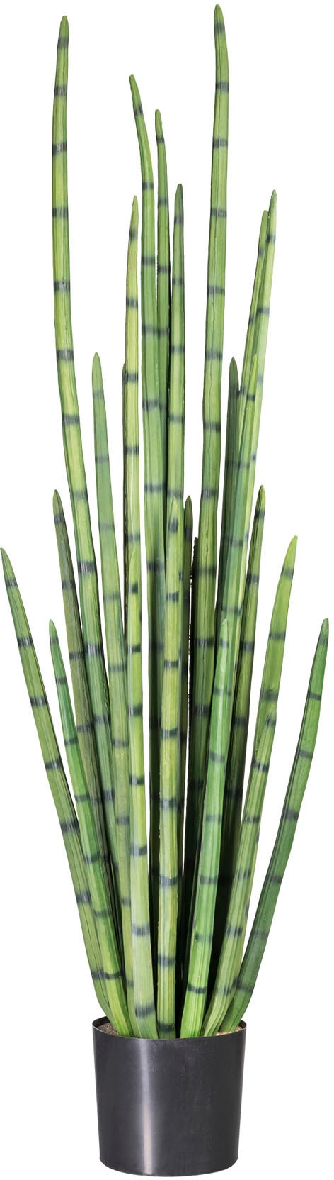 Creativ green Kunstpflanze »Sanseveria«