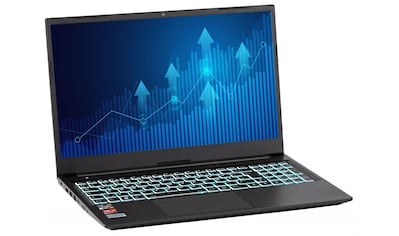 CAPTIVA Business-Notebook »Power Starter R60-922«, (39,6 cm/15,6 Zoll), AMD, Ryzen 7,... kaufen