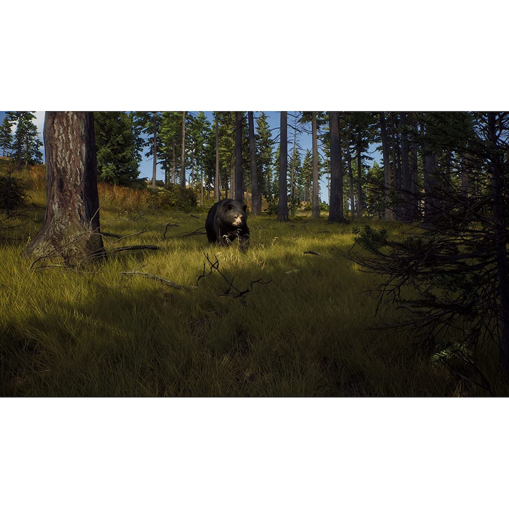 THQ Nordic Spielesoftware »Way of the Hunter«, PlayStation 5