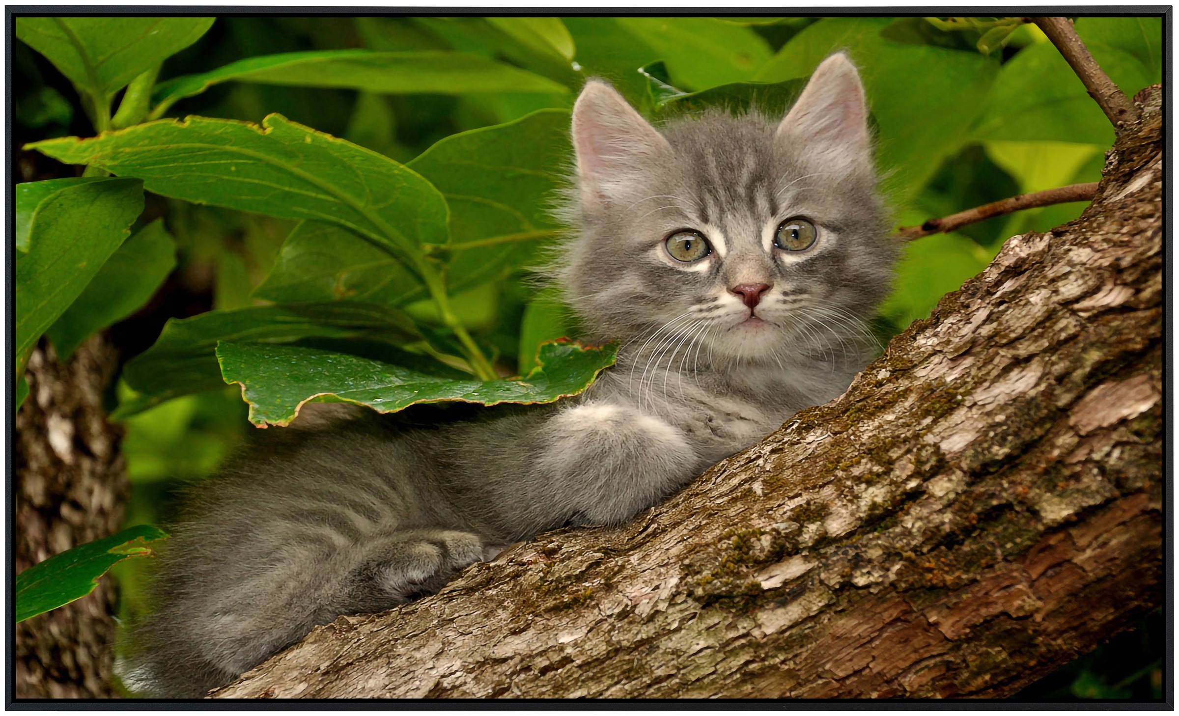 Papermoon Infrarotheizung »Katze im Baum«, sehr angenehme Strahlungswärme günstig online kaufen