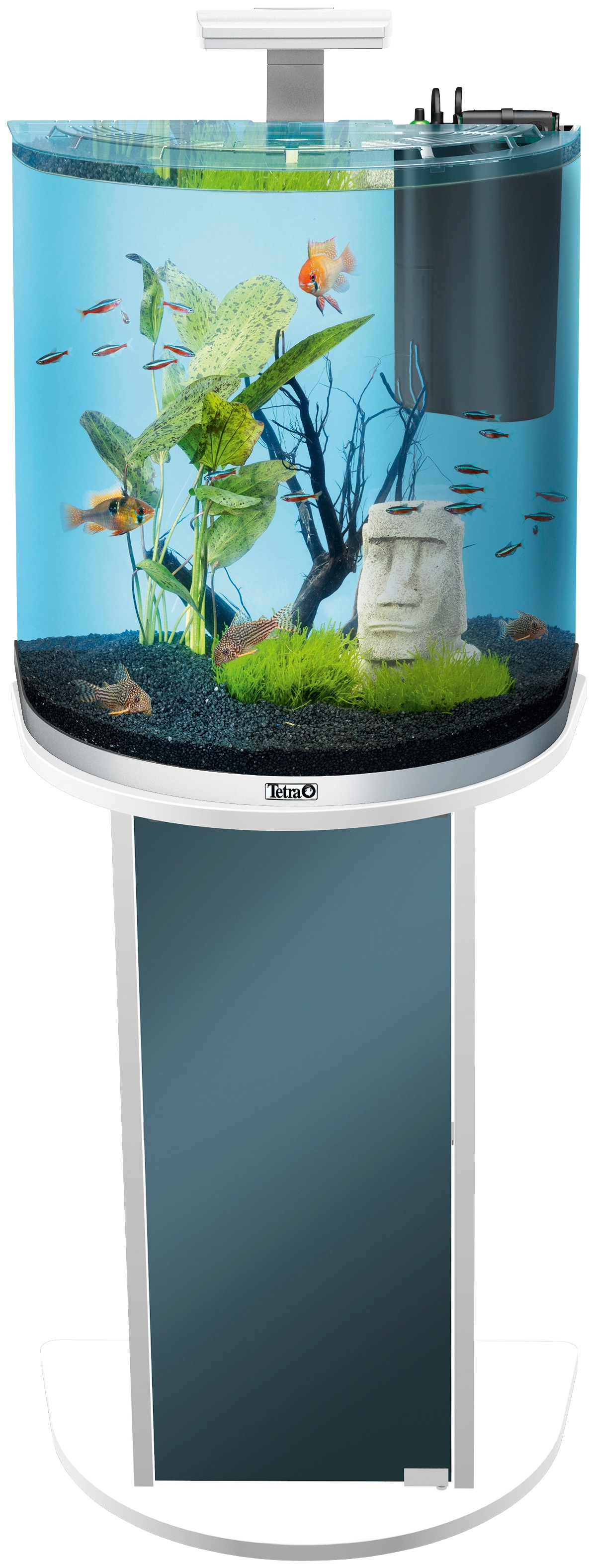 Tetra Aquariumunterschrank »AquaArt LED«, Explorer 75,5x38,4x12 kaufen online BxTxH: cm