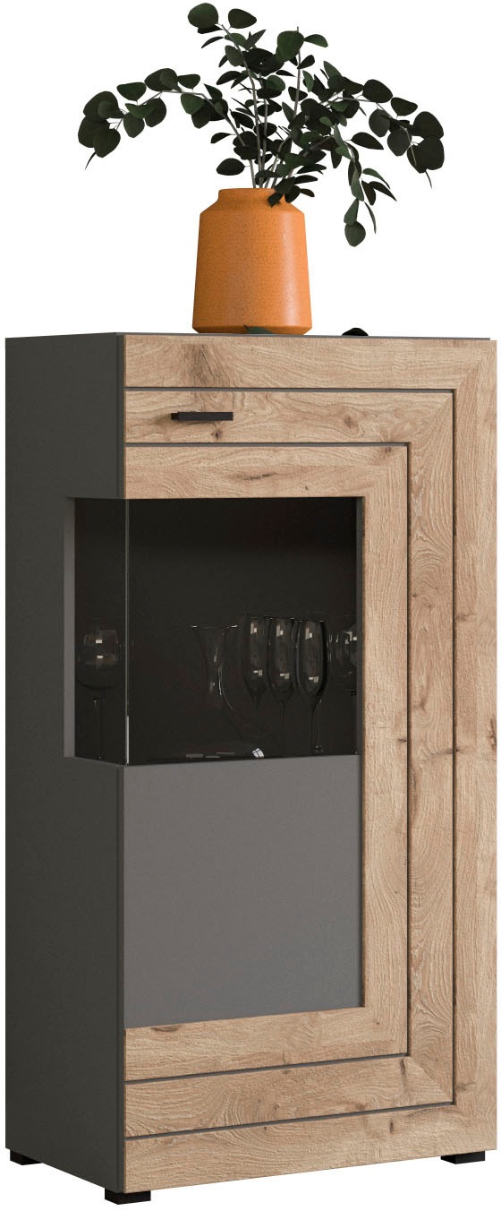INOSIGN Vitrine »Aalborg, Höhe 118 cm, 1 Glastür, 2 Fächer, 2-farbig, Metal günstig online kaufen