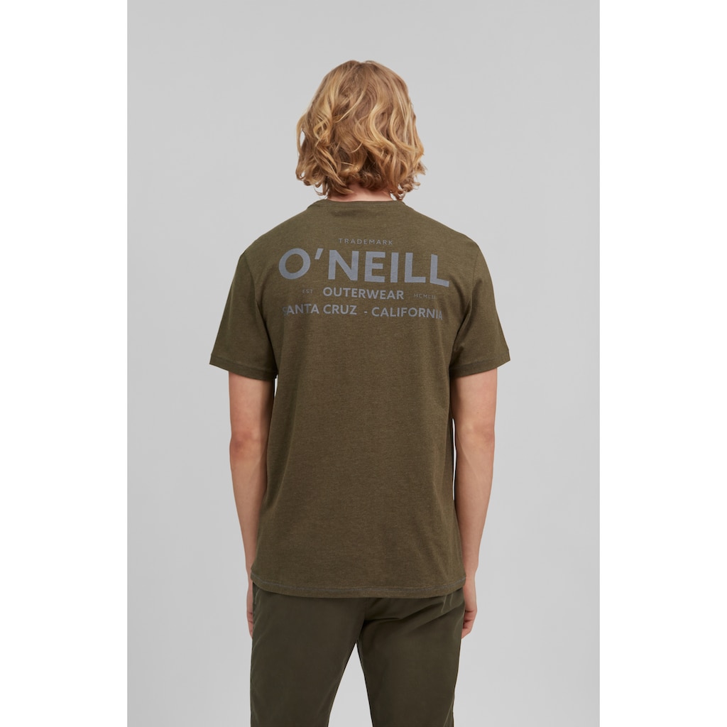 O'Neill T-Shirt »Back 2 Back Ss T-Shirt«