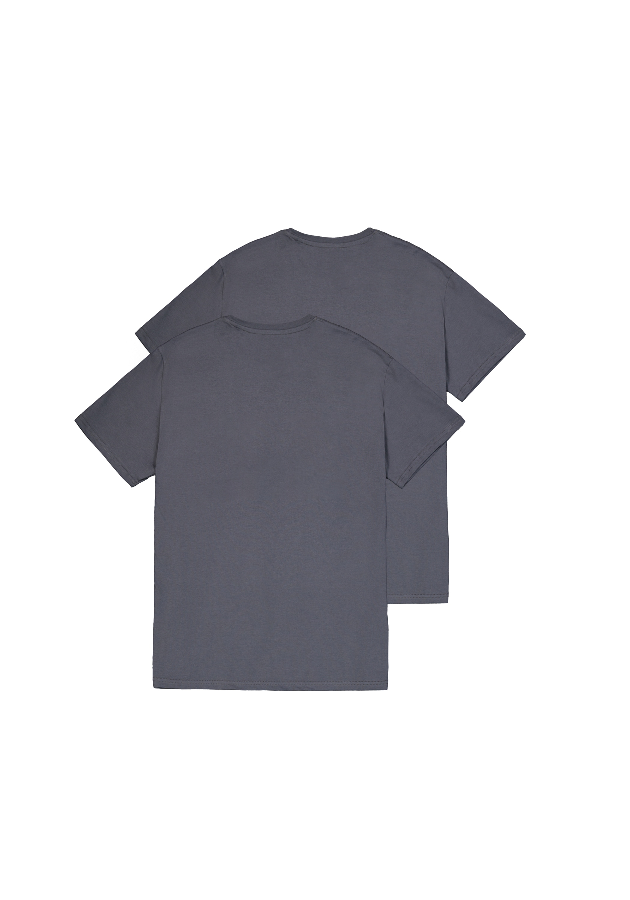 Alpha Industries T-Shirt »Alpha Industries Men - T-Shirts Alpha Label T 2 Pack«