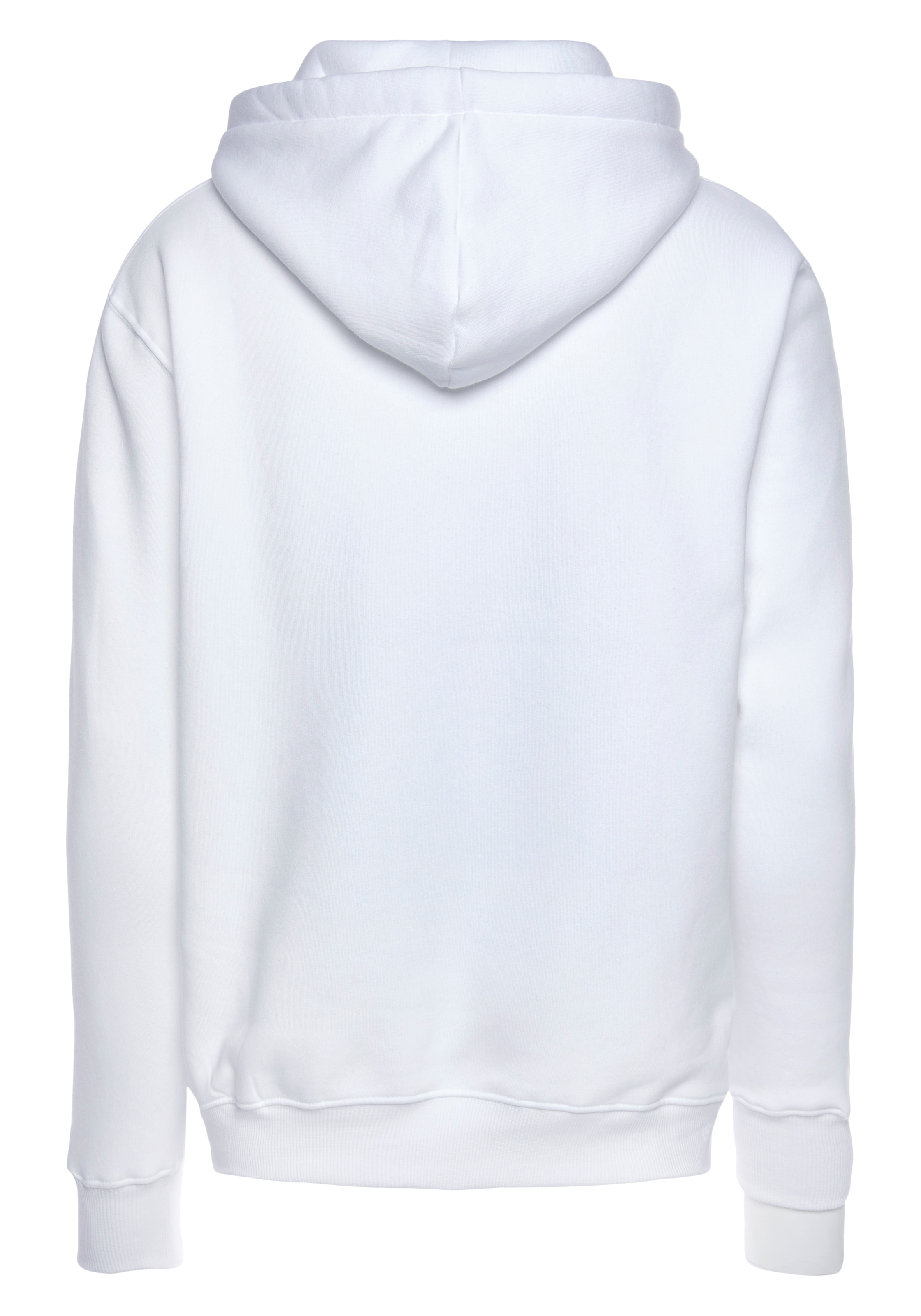 Alpha Industries Kapuzensweatshirt »Hoody Small Logo«