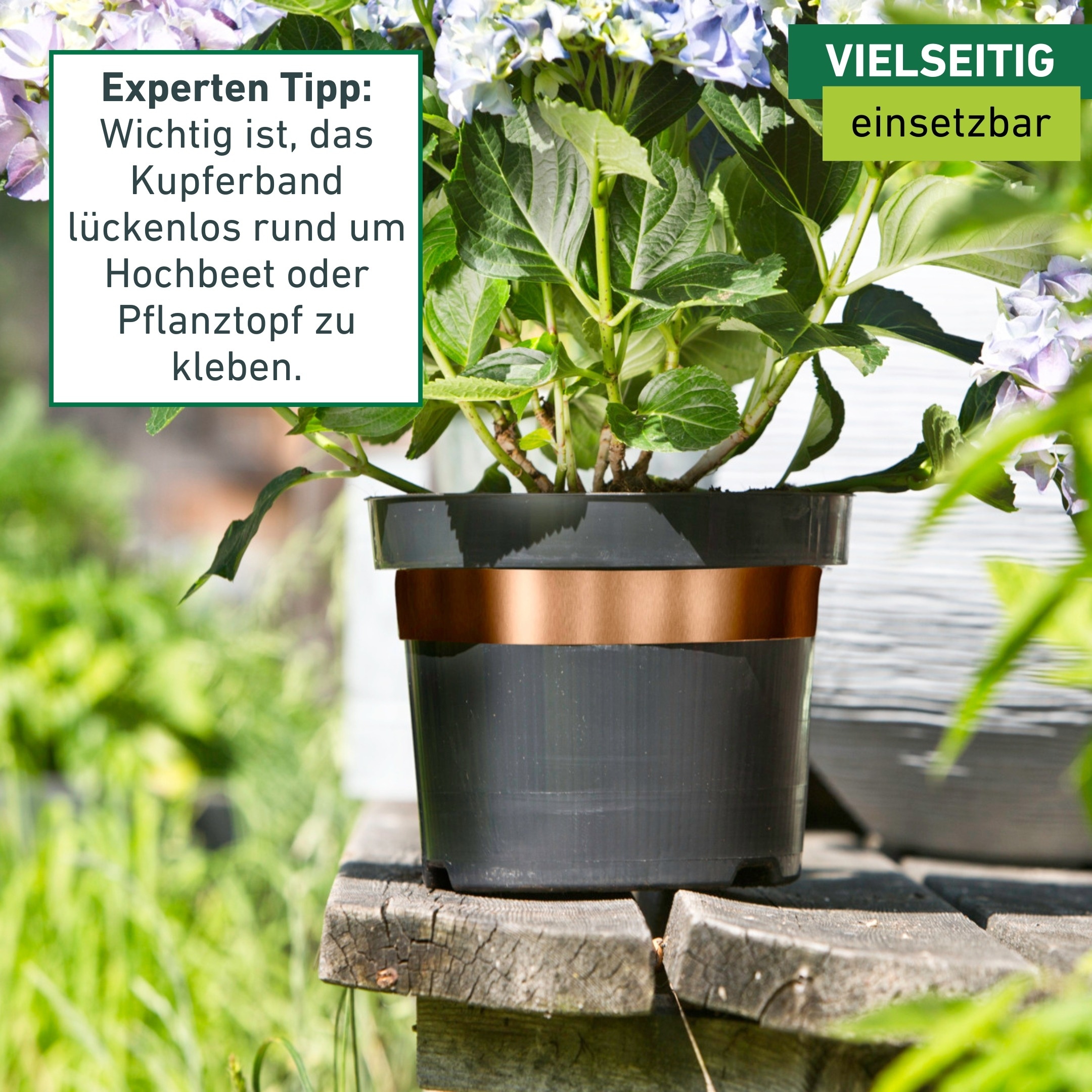 Windhager Schneckenkante »aus Kupfer, Schnecken Abwehrband für Hochbeete und Pflanztöpfe« Schneckenschutz Tape, erhältlich in 5 x 3 cm oder 5 cm x 6 m