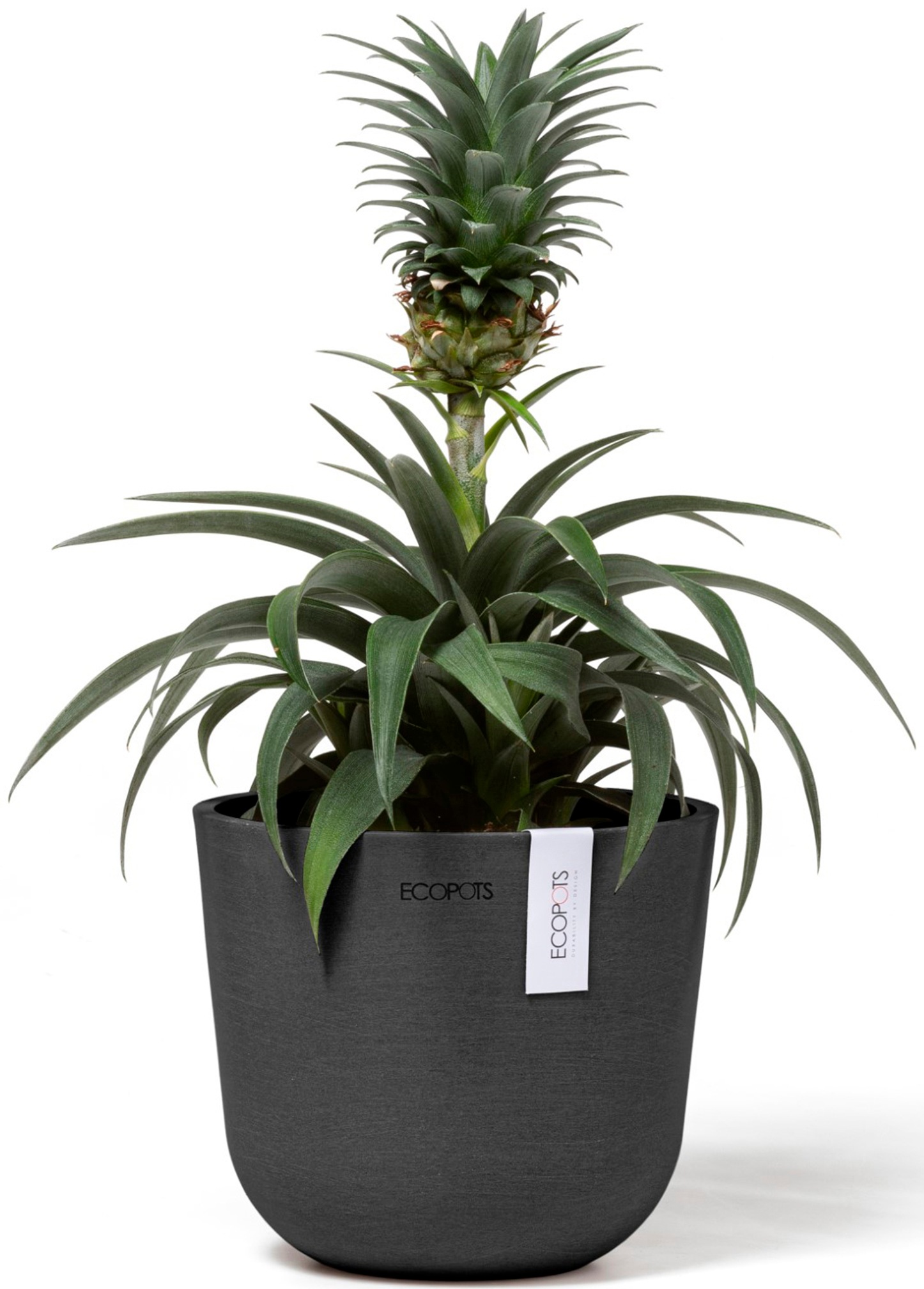 ECOPOTS Blumentopf »Oslo Mini 16 Dunkelgrau«, für den Innenbereich