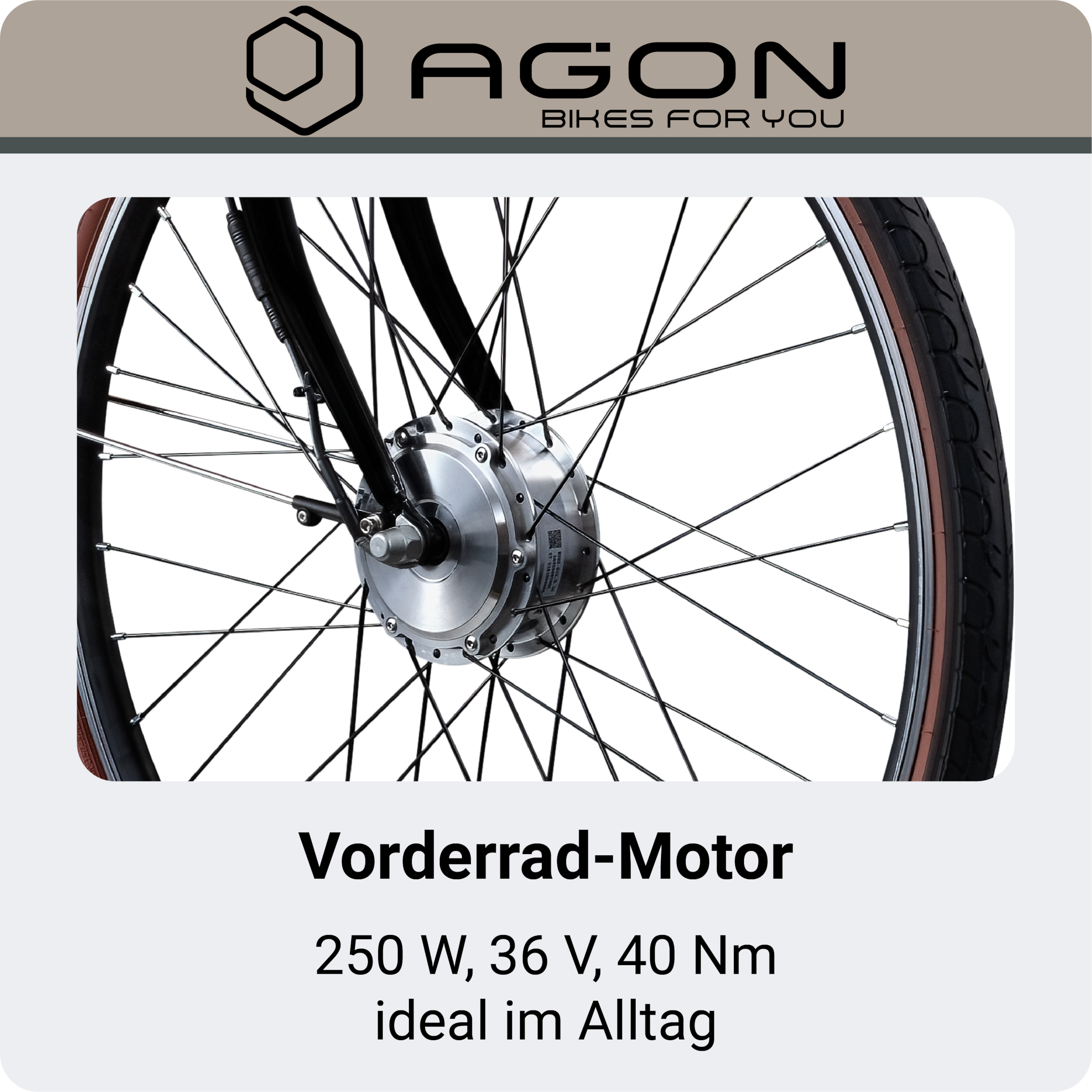 AGON »Assist« 3 Gang Nabenschaltung Frontmotor 250 W tiefer Einstieg
