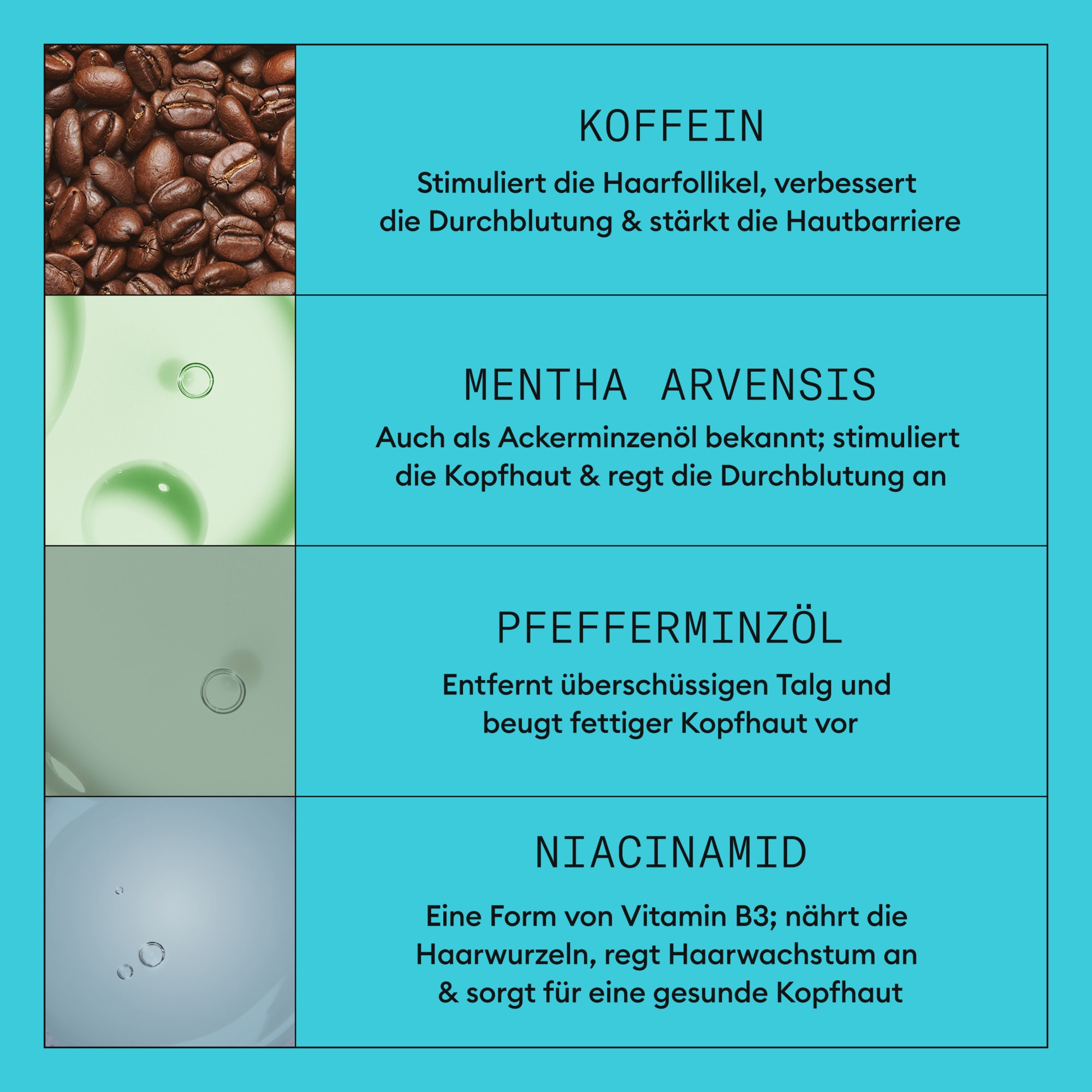 Nioxin Haarpflege-Set »System 3 KIT« mehr Volumen, schützt vor Haarbruch, speziell für coloriertes Haar