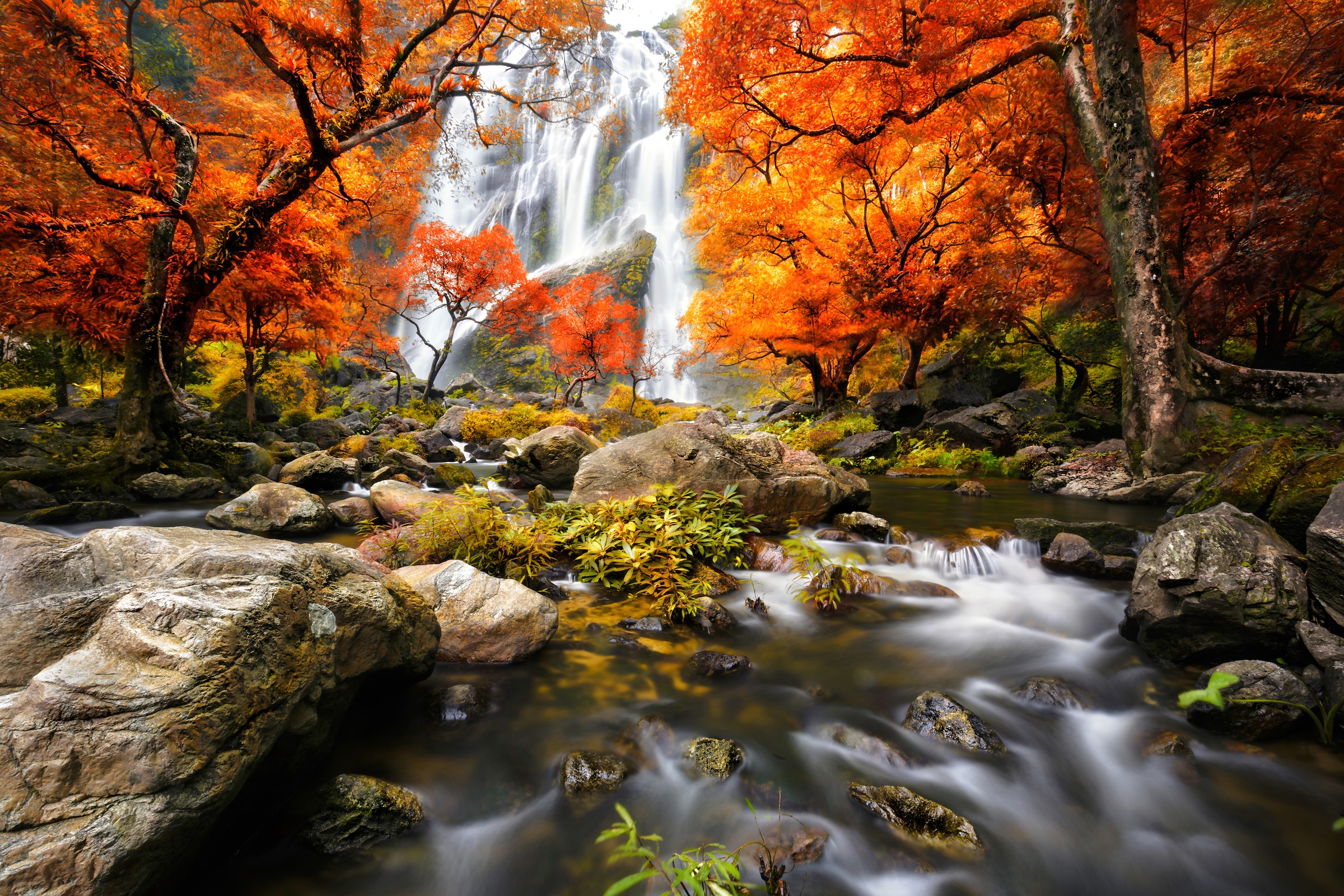 Papermoon Fototapete »WASSERFALL-HERBST BÄUME WALD NATUR LANDSCHAFT DSCHUNG günstig online kaufen