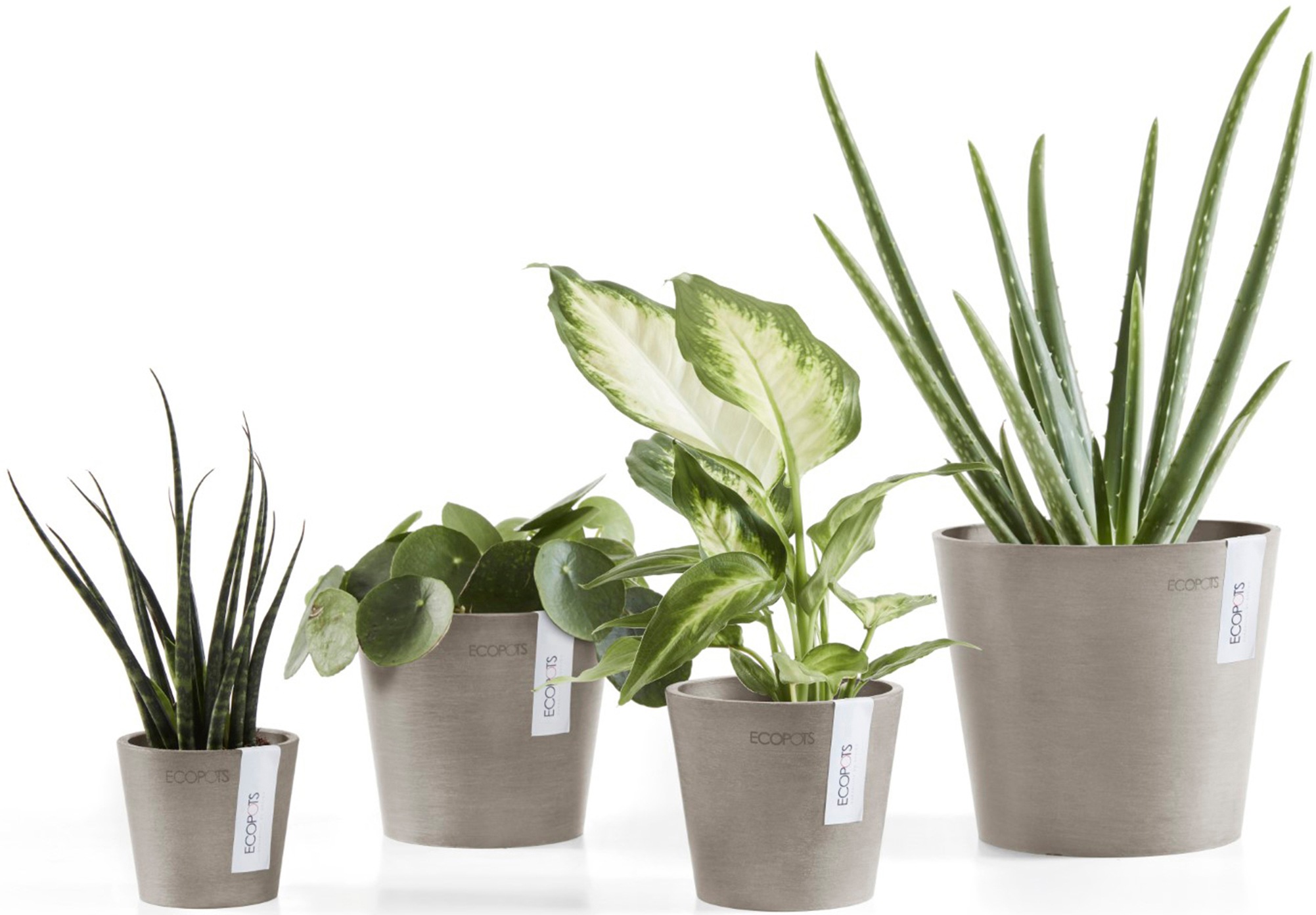 ECOPOTS Blumentopf »Amsterdam Mini 13 Taupe«, für den Innenbereich