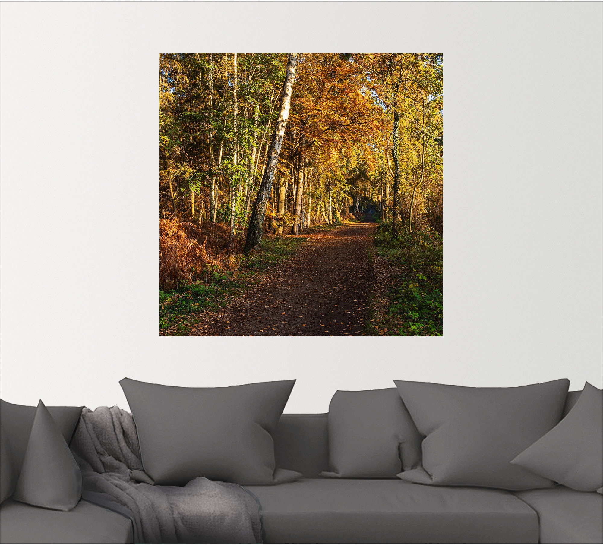 Artland Wandbild »Bäume herbstlich auf dem Fischland-Darß«, Waldbilder, (1 St.), als Alubild, Leinwandbild, Wandaufkleber oder Poster in versch. Größen