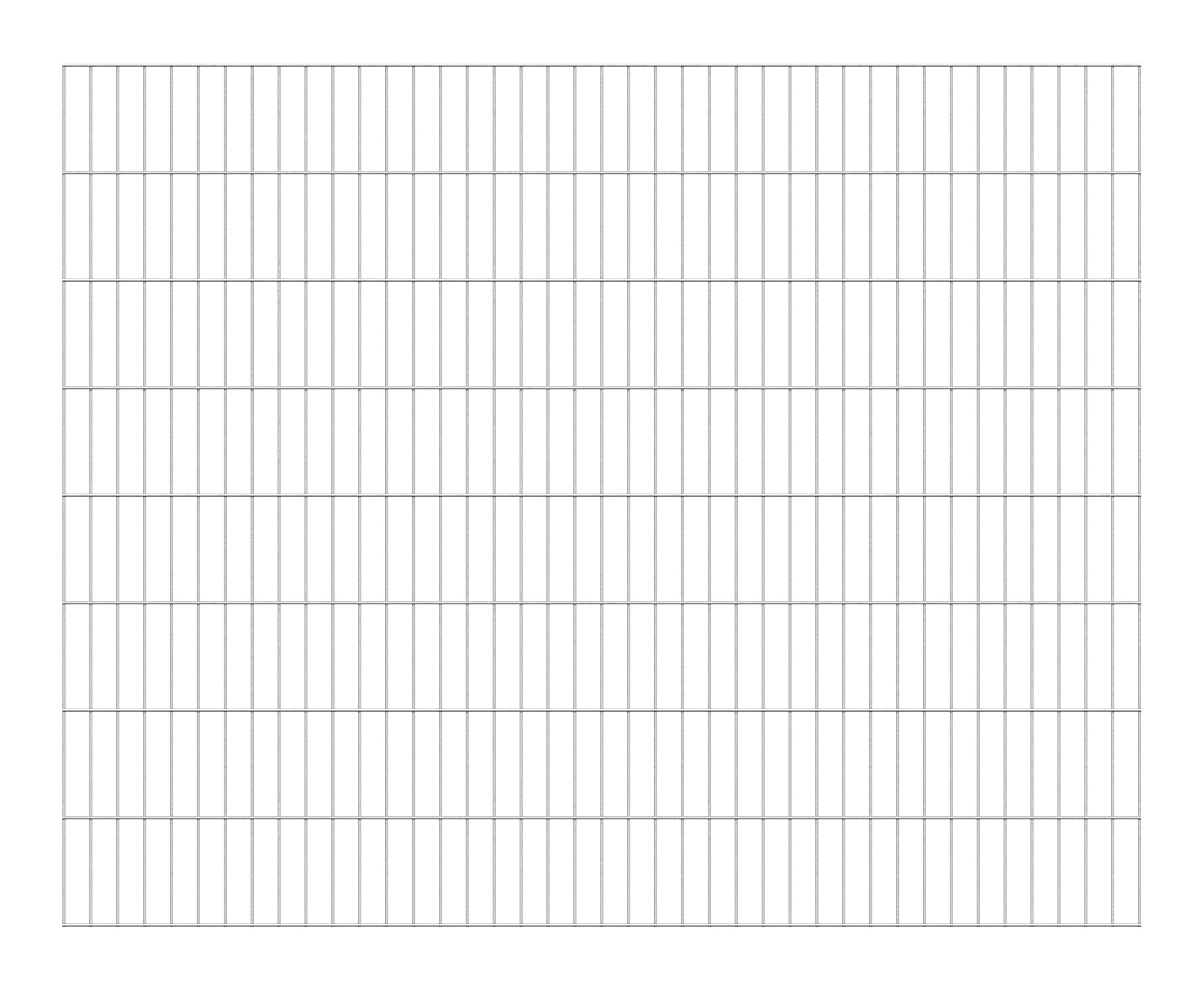 ALBERTS Doppelstabmattenzaun »Doppelstab-Gittermatte 6/5/6« LxH: 200x160 cm feuerverzinkt
