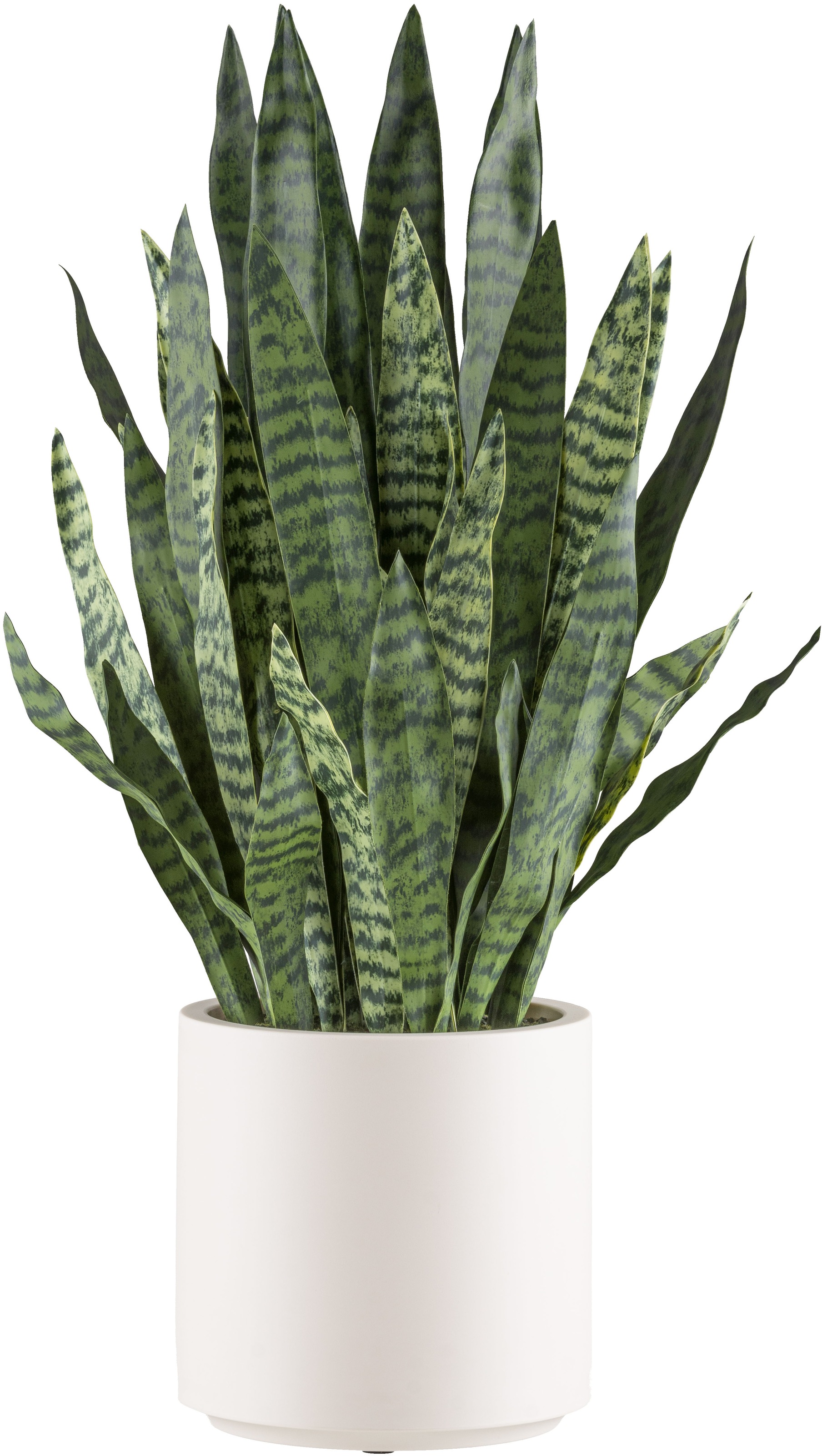 Creativ green Kunstpflanze »Sanseveria zeylanica«, im eleganten cremefarben günstig online kaufen