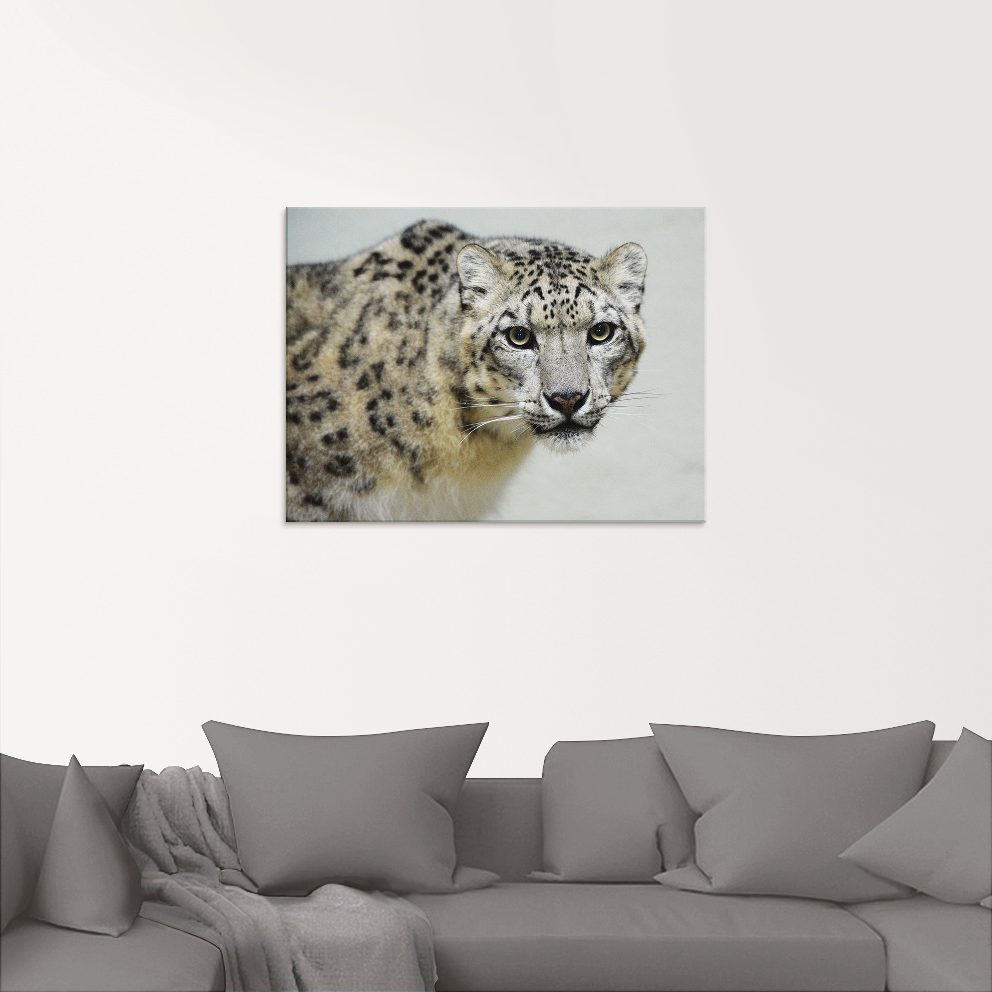 Artland Glasbild »Schneeleopard«, Wildtiere, (1 St.), in verschiedenen Größen