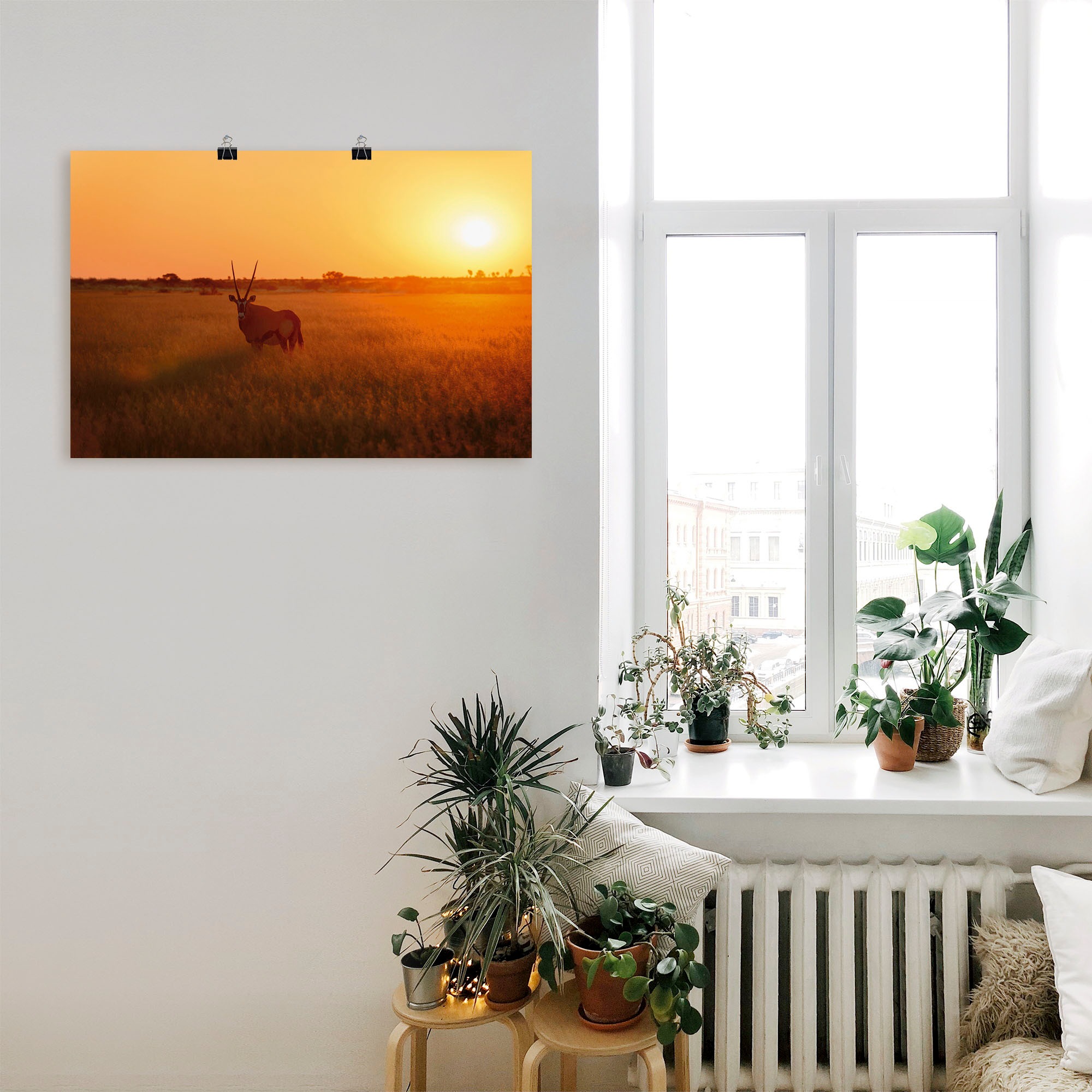 Artland Wandbild »Oryxantilope im Sonnenaufgang«, Wildtiere, (1 St.), als Alubild, Leinwandbild, Wandaufkleber oder Poster in versch. Größen