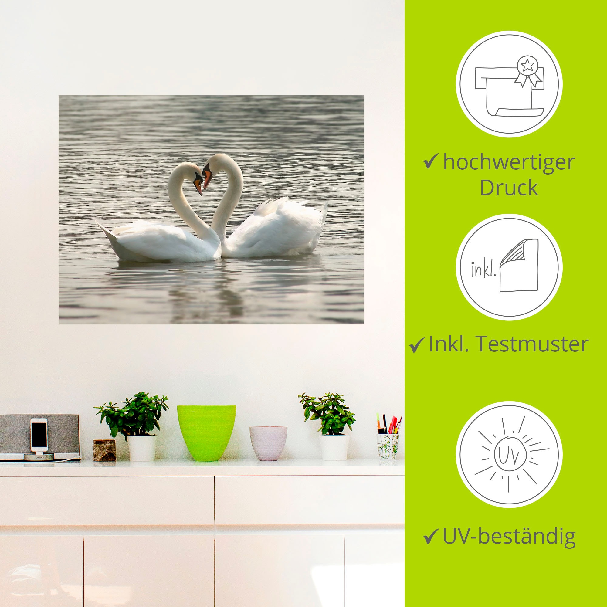 Artland Wandbild »Liebesspiel von Schwänen«, Vögel, (1 St.), als Leinwandbild, Wandaufkleber in verschied. Größen